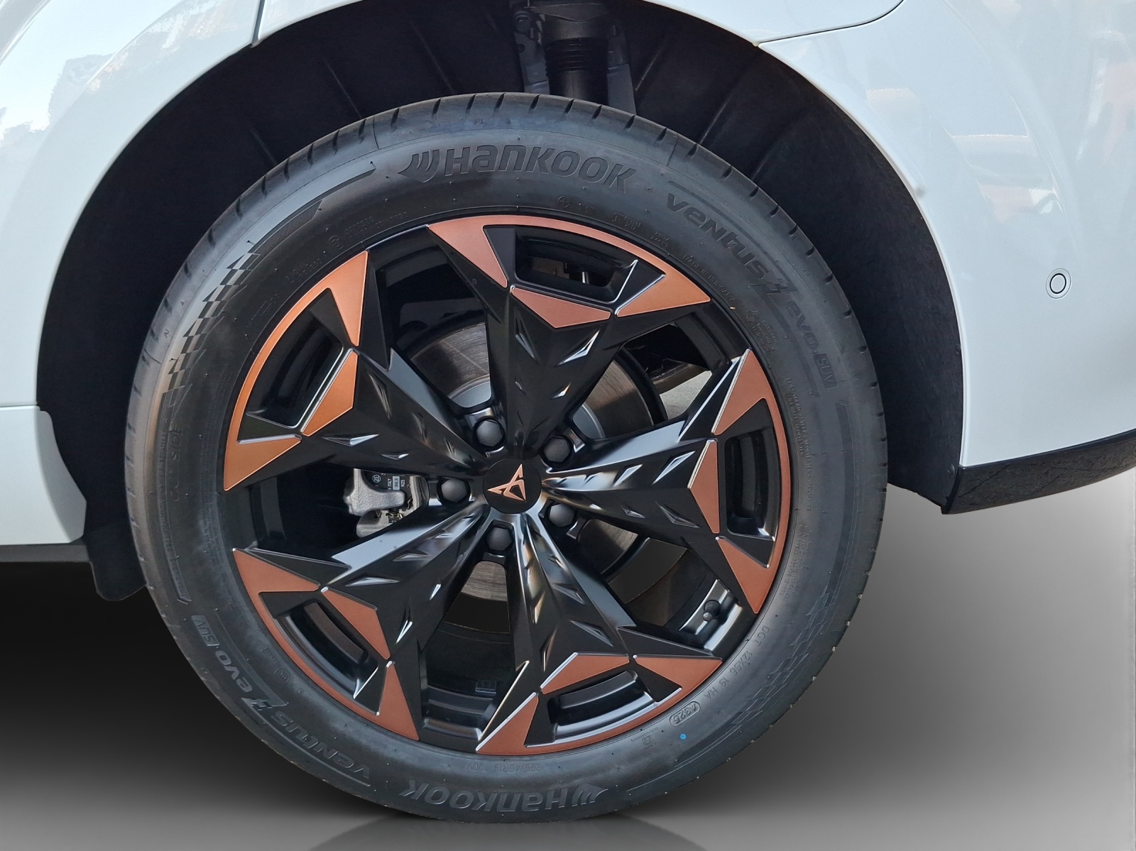 CUPRA Terramar 2.0 TSI DSG 4Drive-image-14
