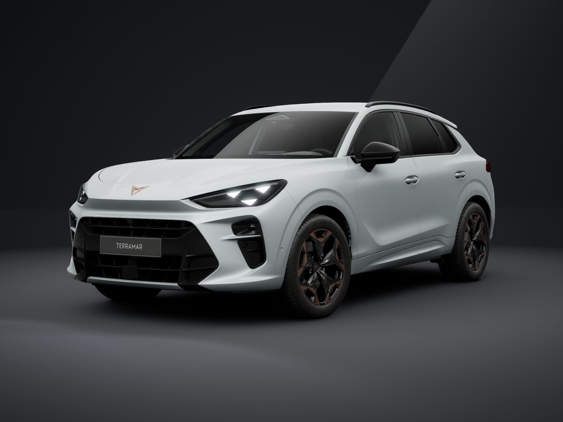 CUPRA Terramar 2.0 TSI DSG 4Drive-image-0