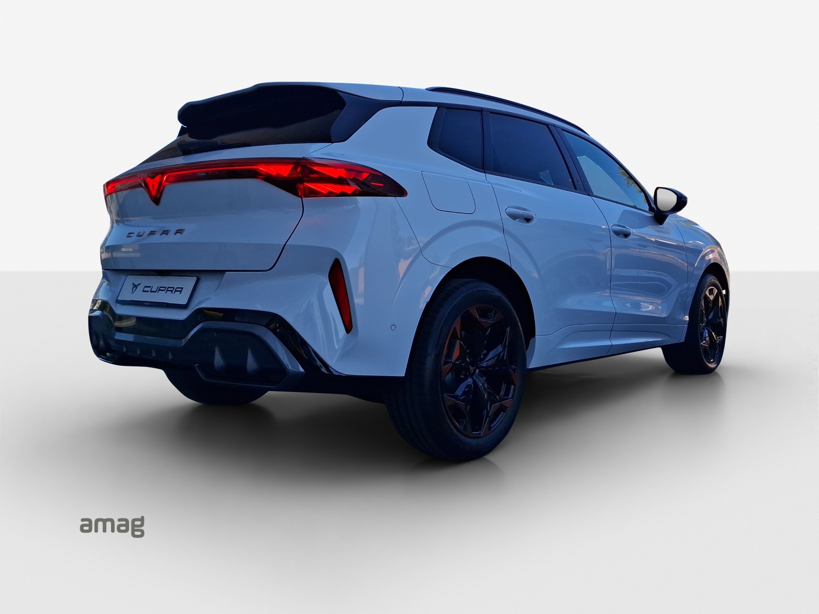CUPRA Terramar 2.0 TSI DSG 4Drive-image-4