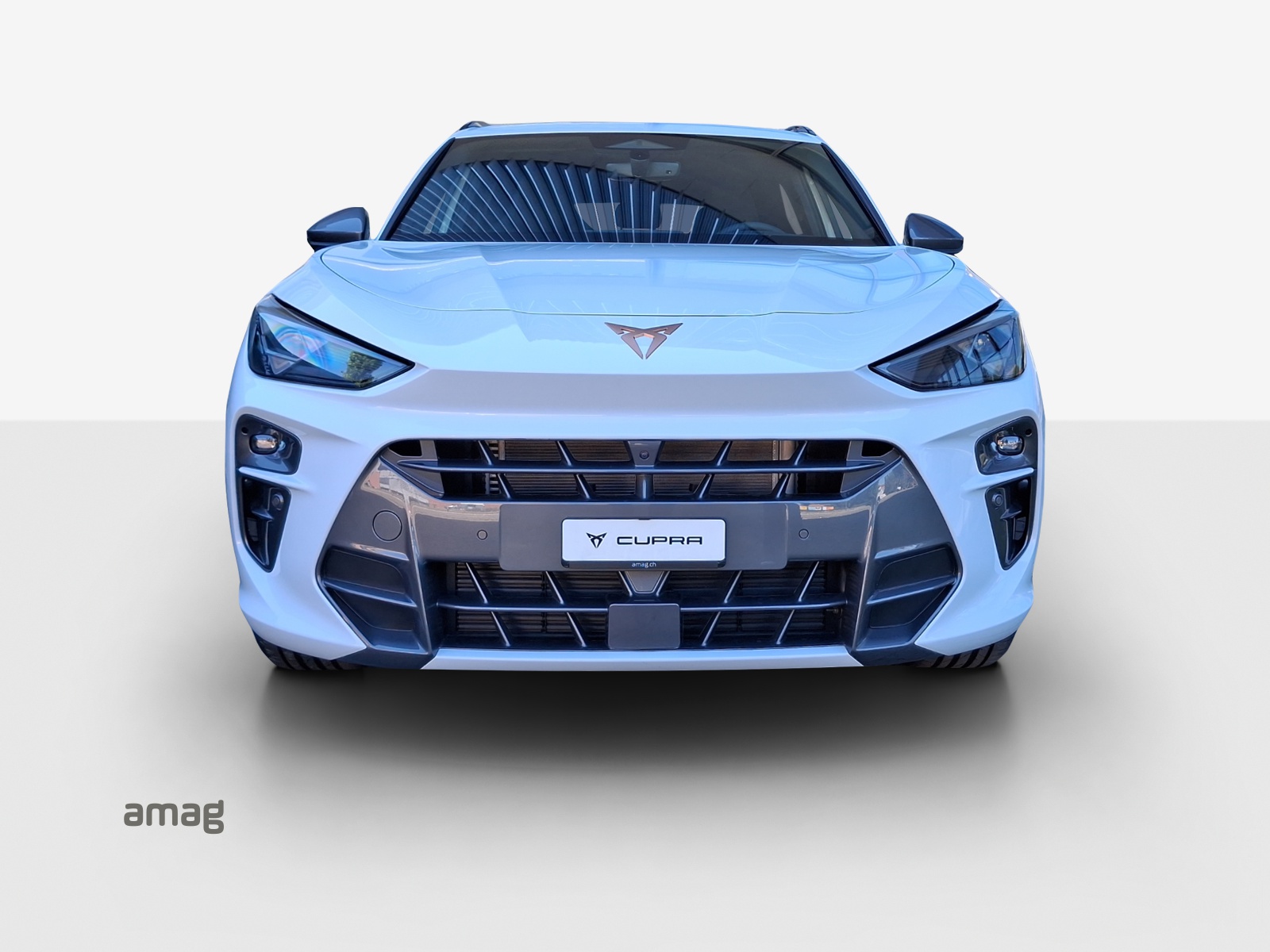 CUPRA Terramar 2.0 TSI DSG 4Drive-image-6