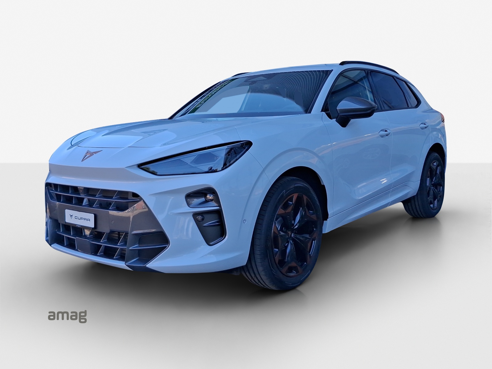 CUPRA Terramar 2.0 TSI DSG 4Drive-image-0