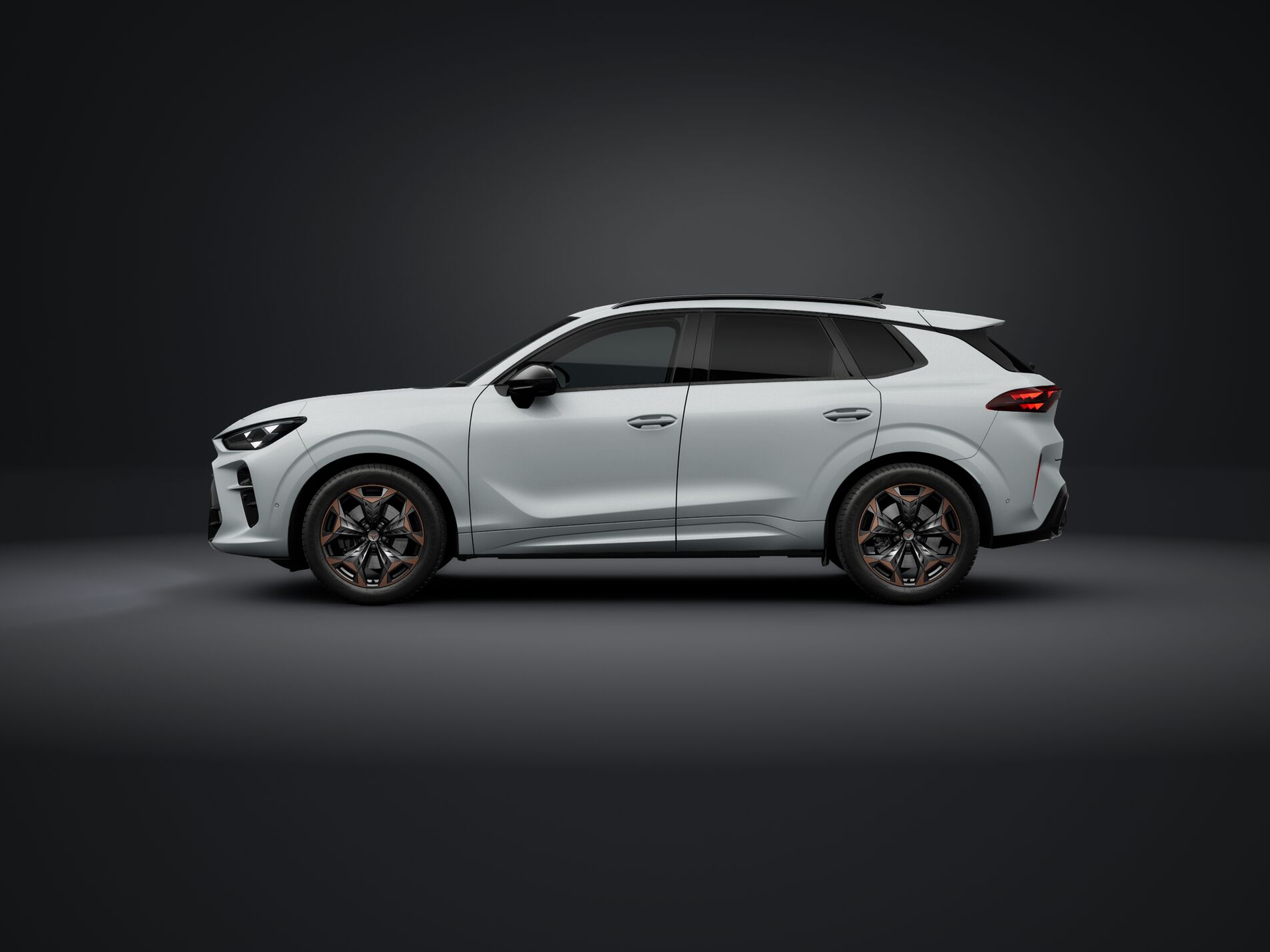 CUPRA Terramar 2.0 TSI DSG 4Drive-image-1