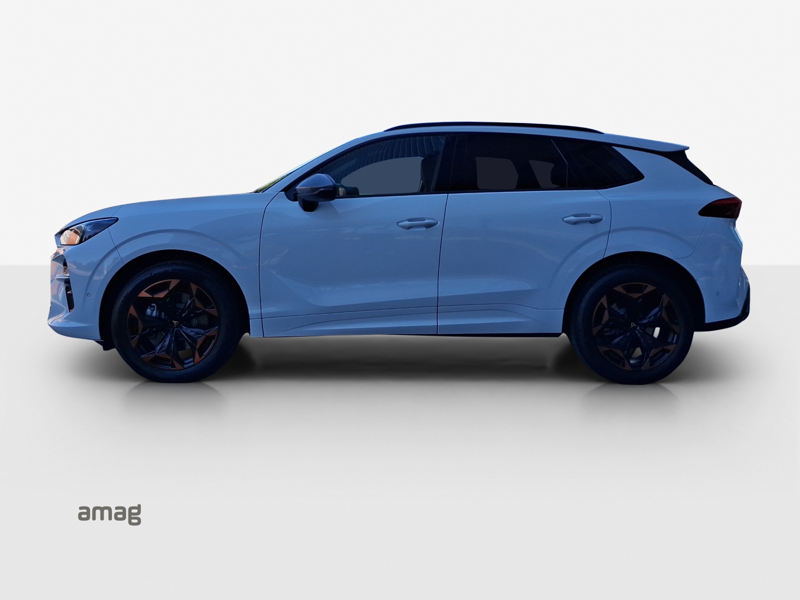 CUPRA Terramar 2.0 TSI DSG 4Drive-image-1
