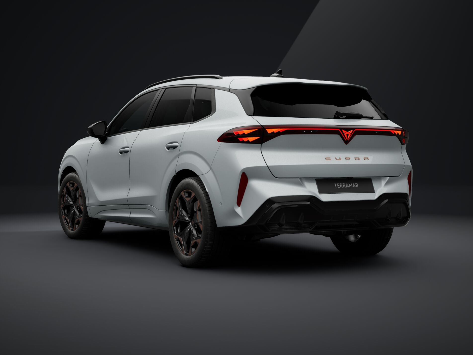 CUPRA Terramar 2.0 TSI DSG 4Drive-image-2