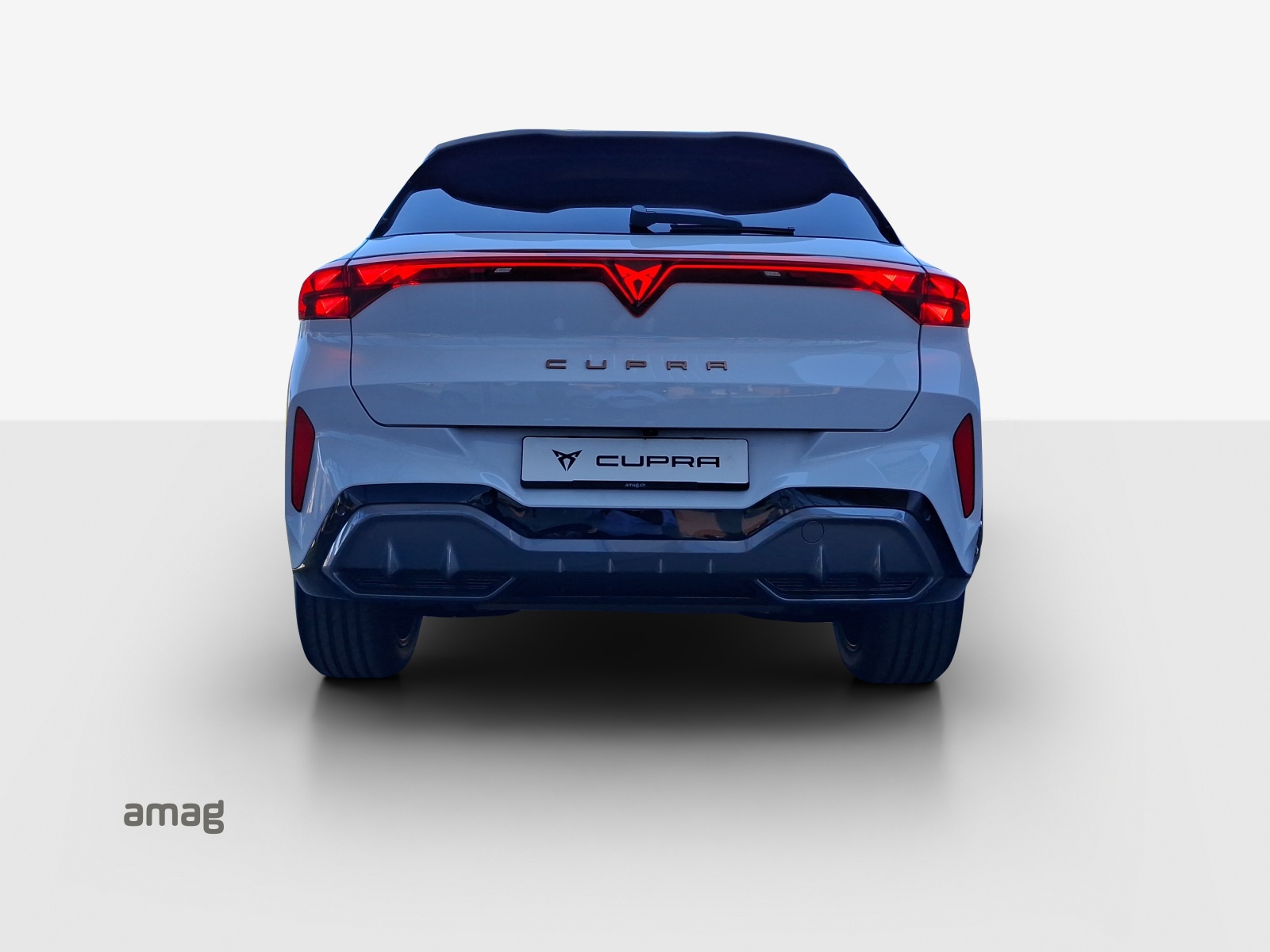 CUPRA Terramar 2.0 TSI DSG 4Drive-image-3
