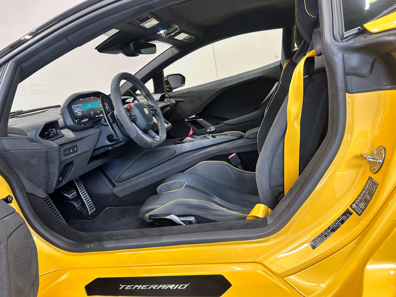LAMBORGHINI TEMERARIO HPEV-image-11