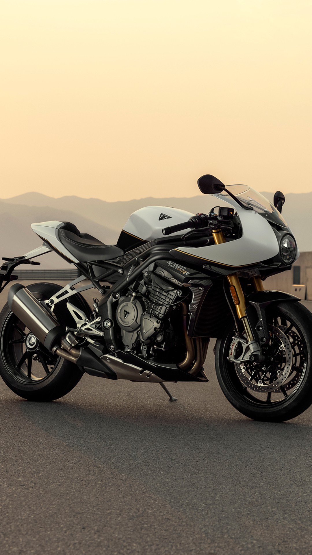 TRIUMPH Speed Triple RR
