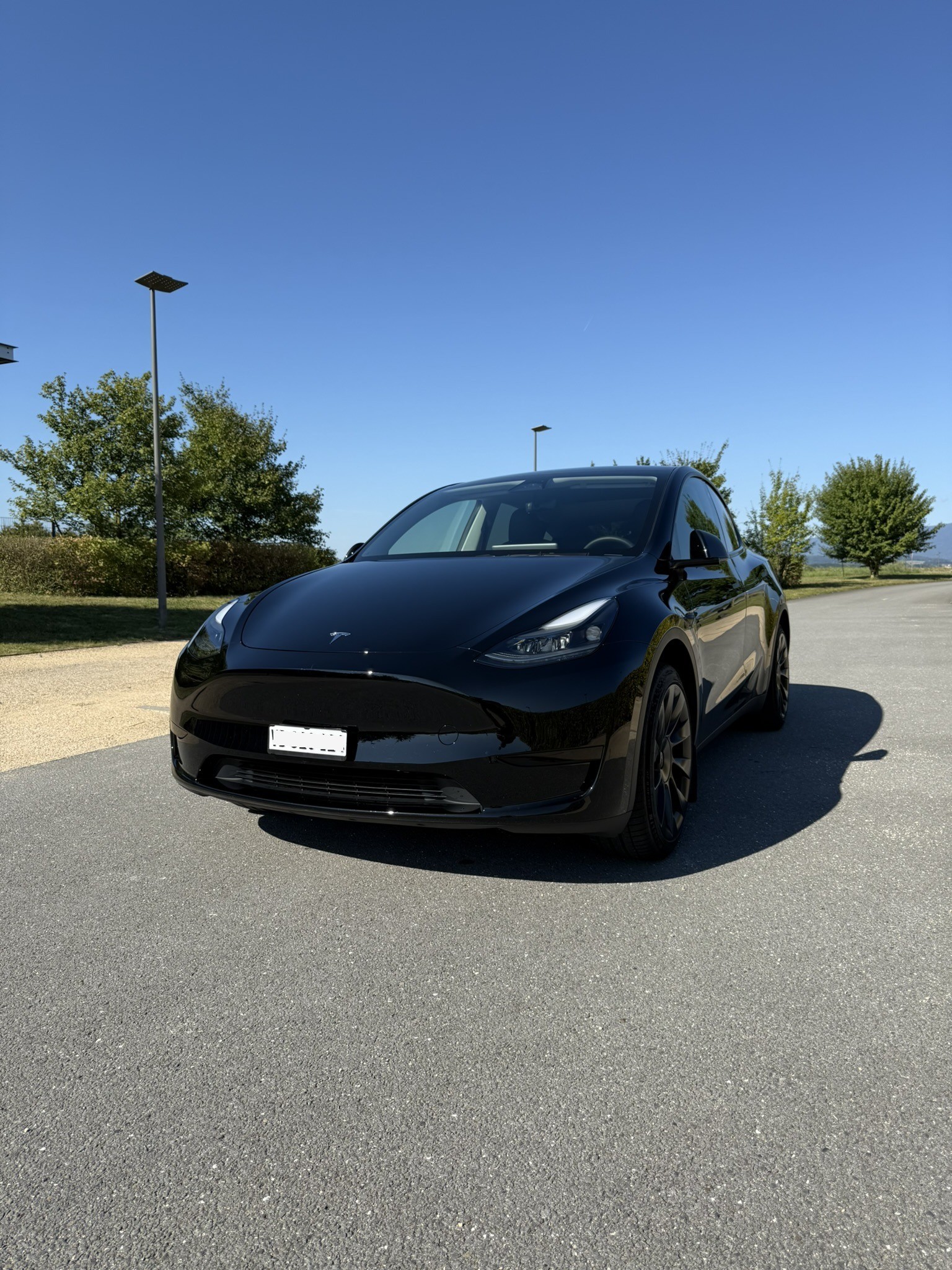 TESLA Model Y Long Range RWD-image-0