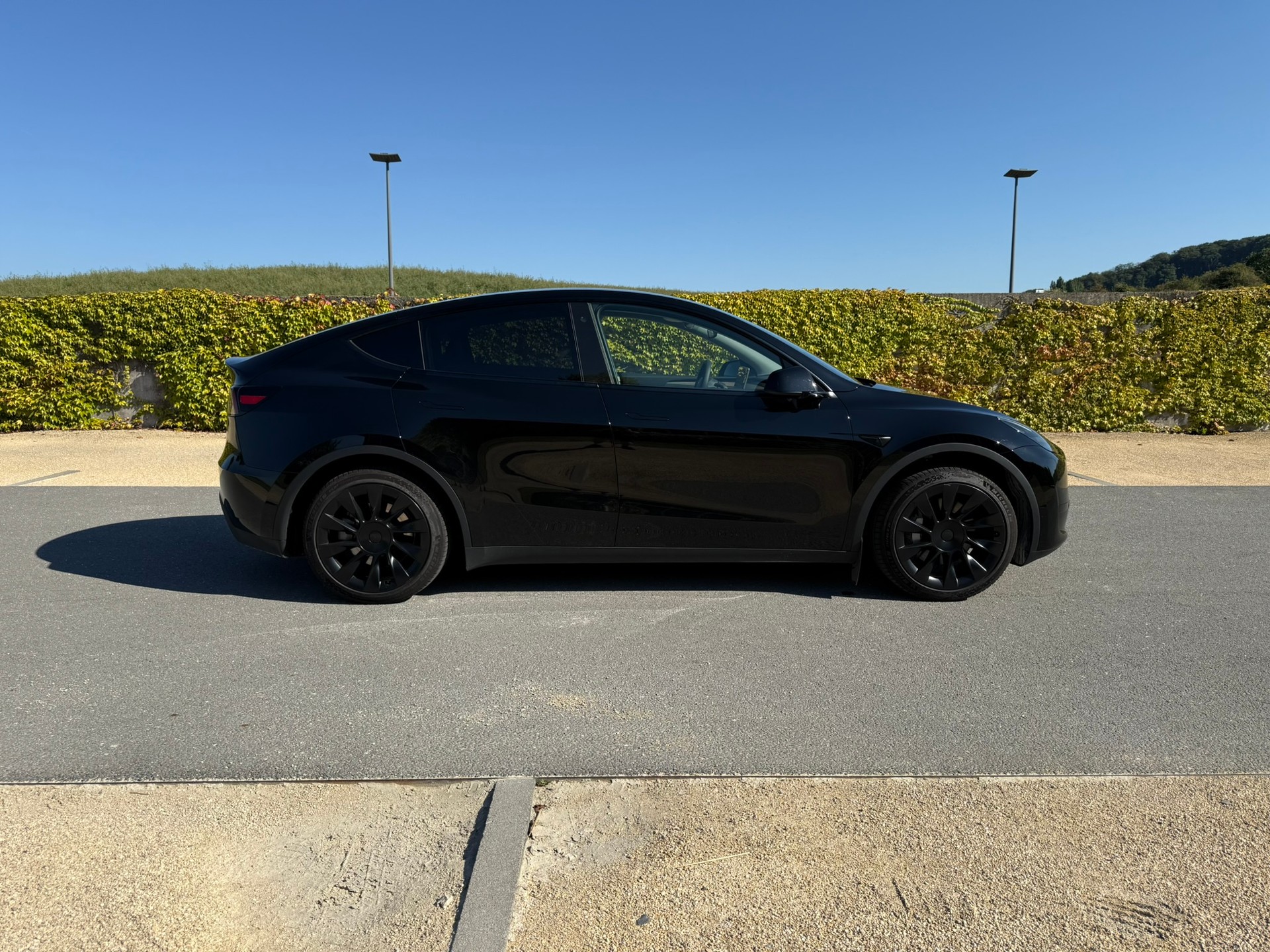 TESLA Model Y Long Range RWD-image-1