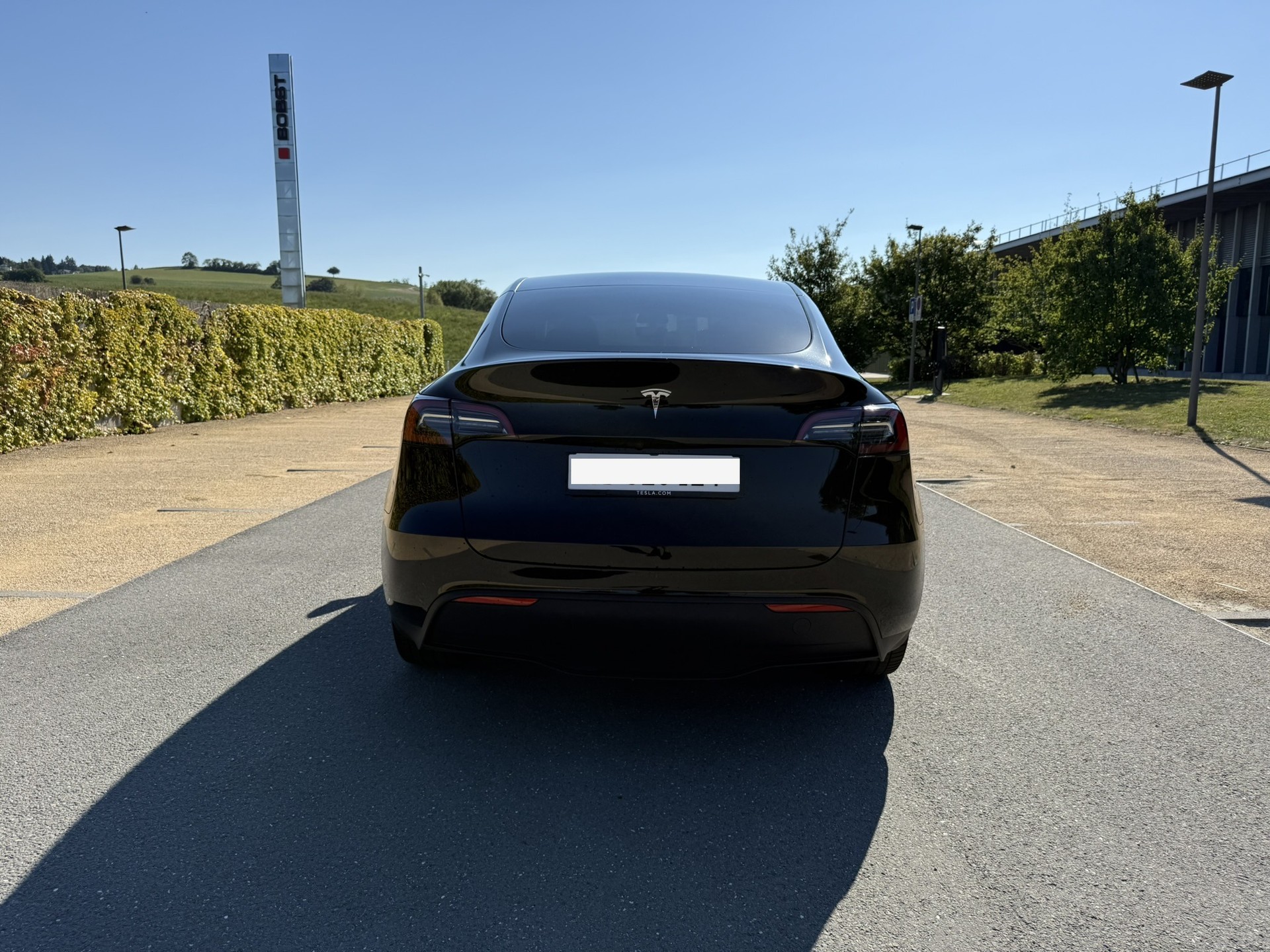 TESLA Model Y Long Range RWD-image-3
