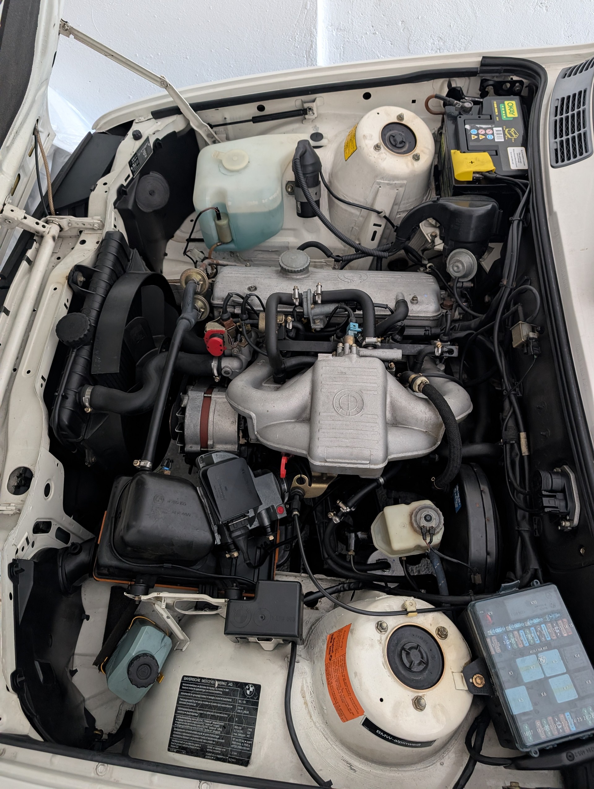 BMW 318i-image-7