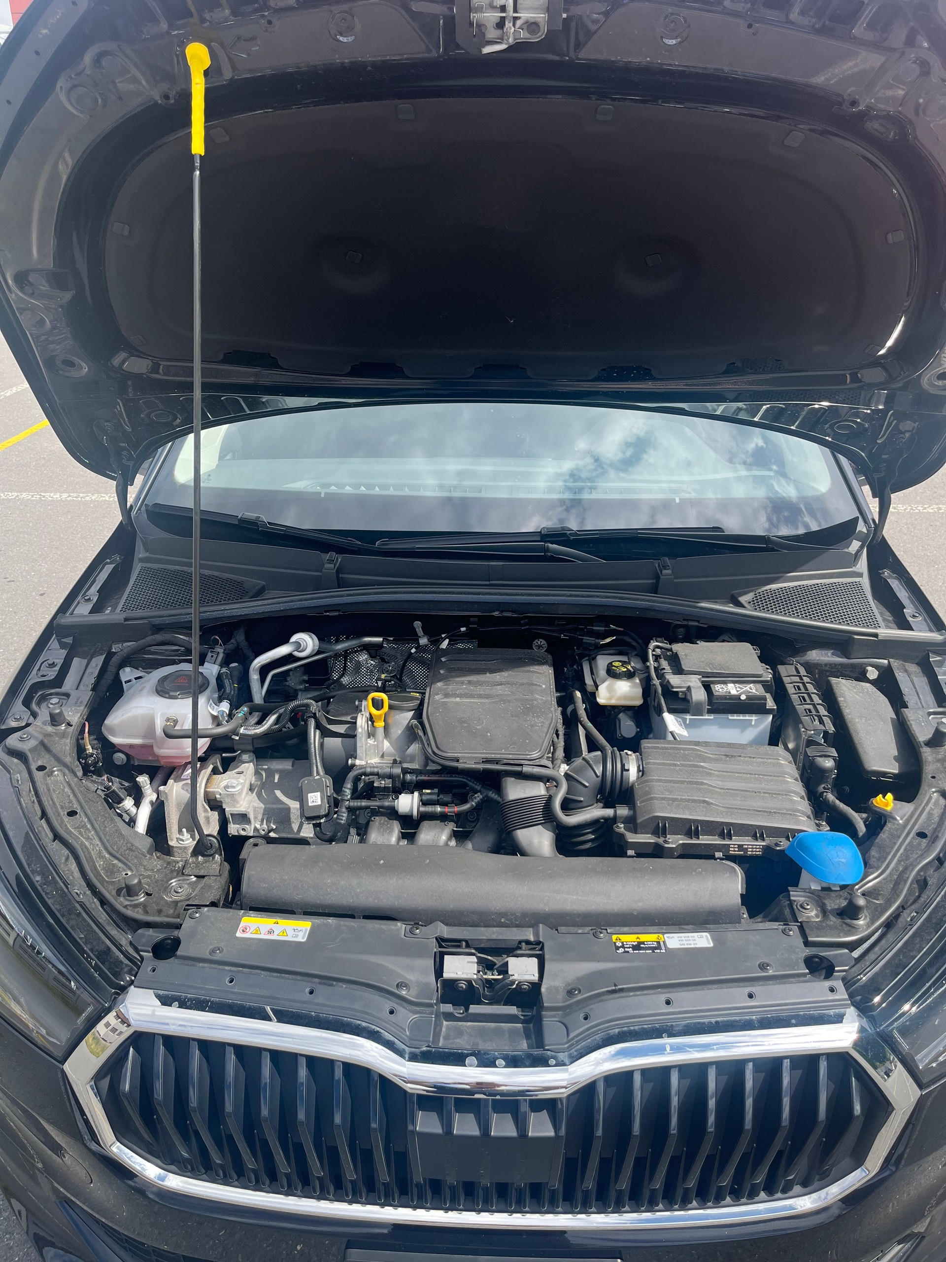 SKODA 1.0 MPI Essence-image-8
