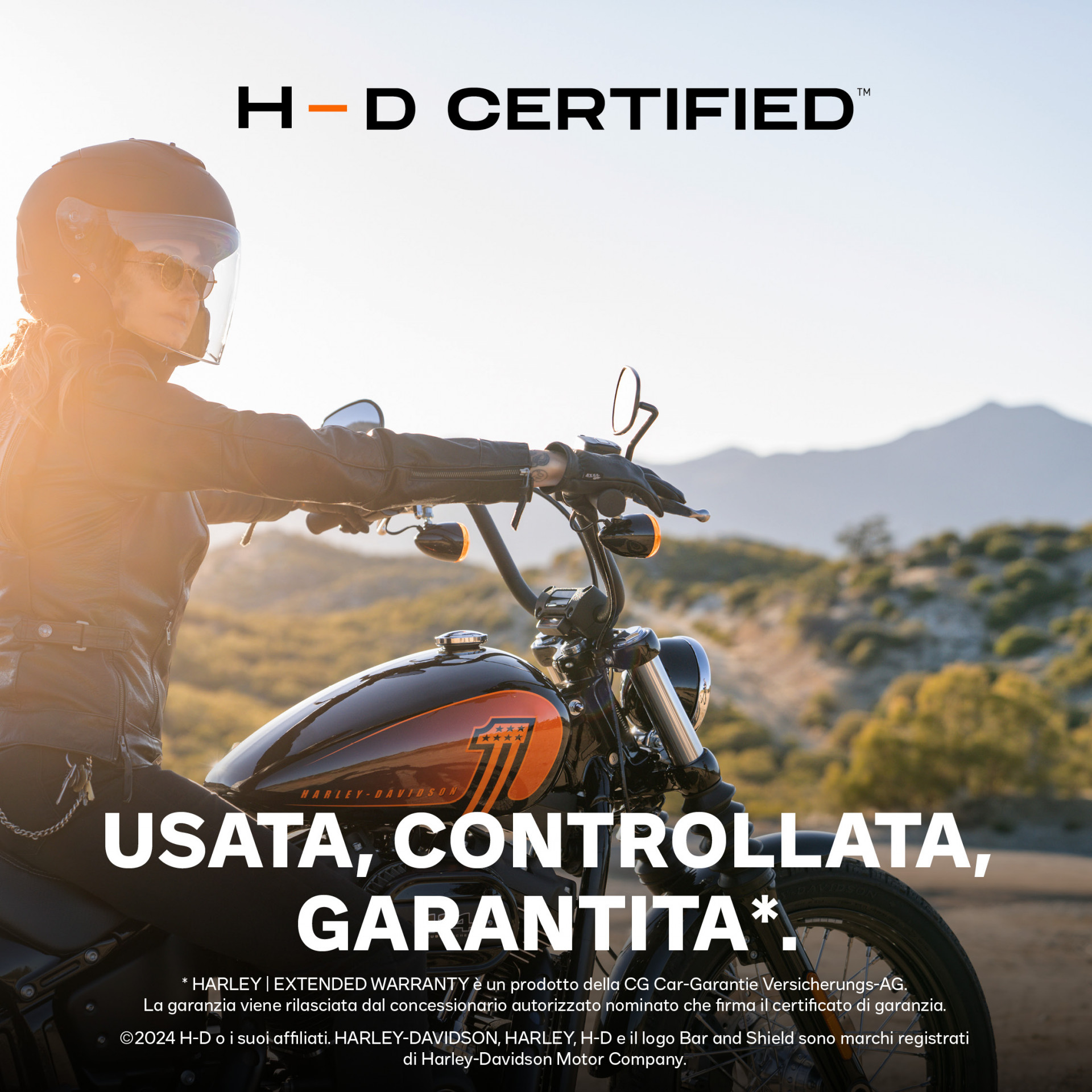 HARLEY-DAVIDSON FLSB 1745 Softail Sport Glide 107-image-9
