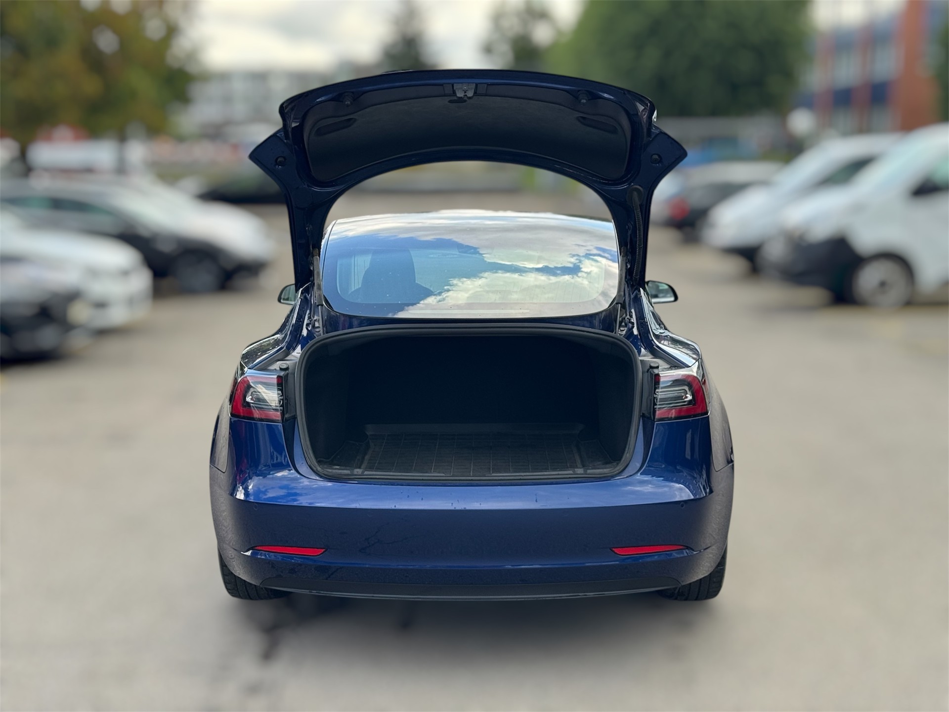 TESLA Standart Range Plus / ab MFK-image-5