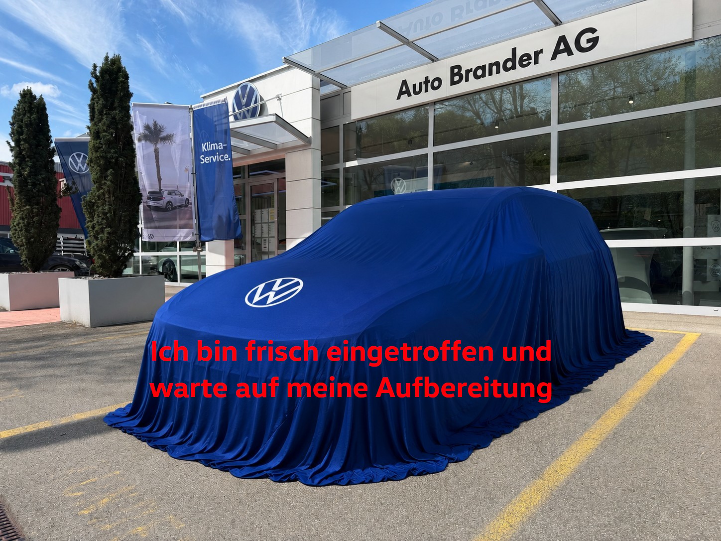 VW Golf 1.5 e TSI mHEV Value DSG-image-0
