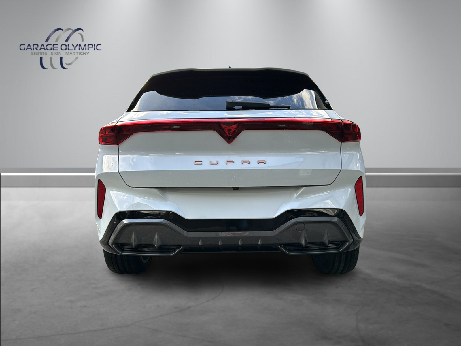 CUPRA Terramar 2.0 TSI DSG 4Drive-image-10