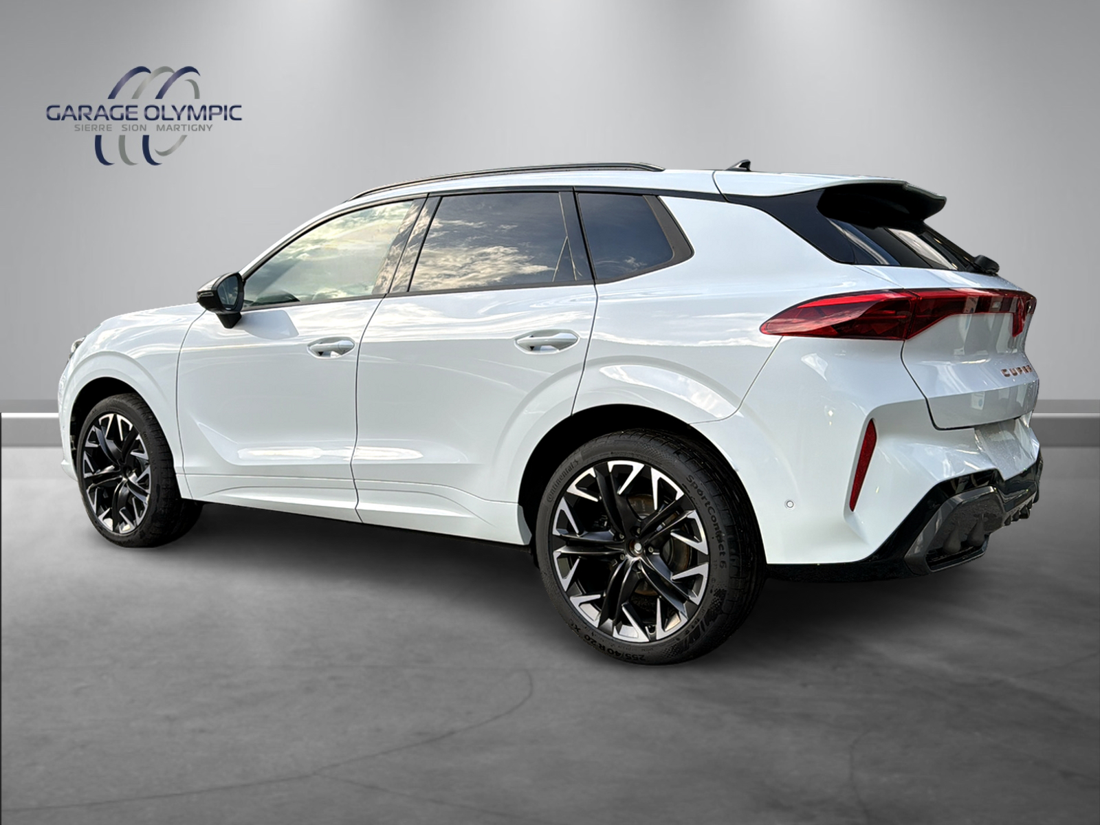 CUPRA Terramar 2.0 TSI DSG 4Drive-image-7