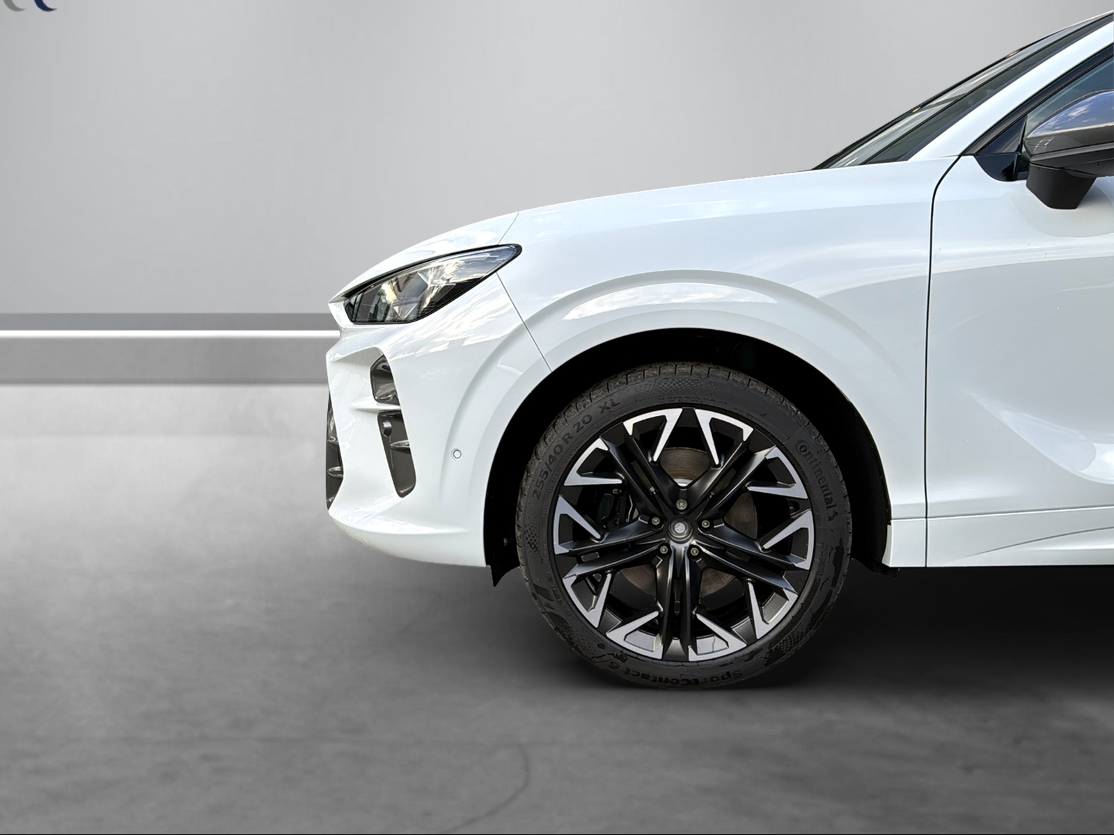 CUPRA Terramar 2.0 TSI DSG 4Drive-image-3