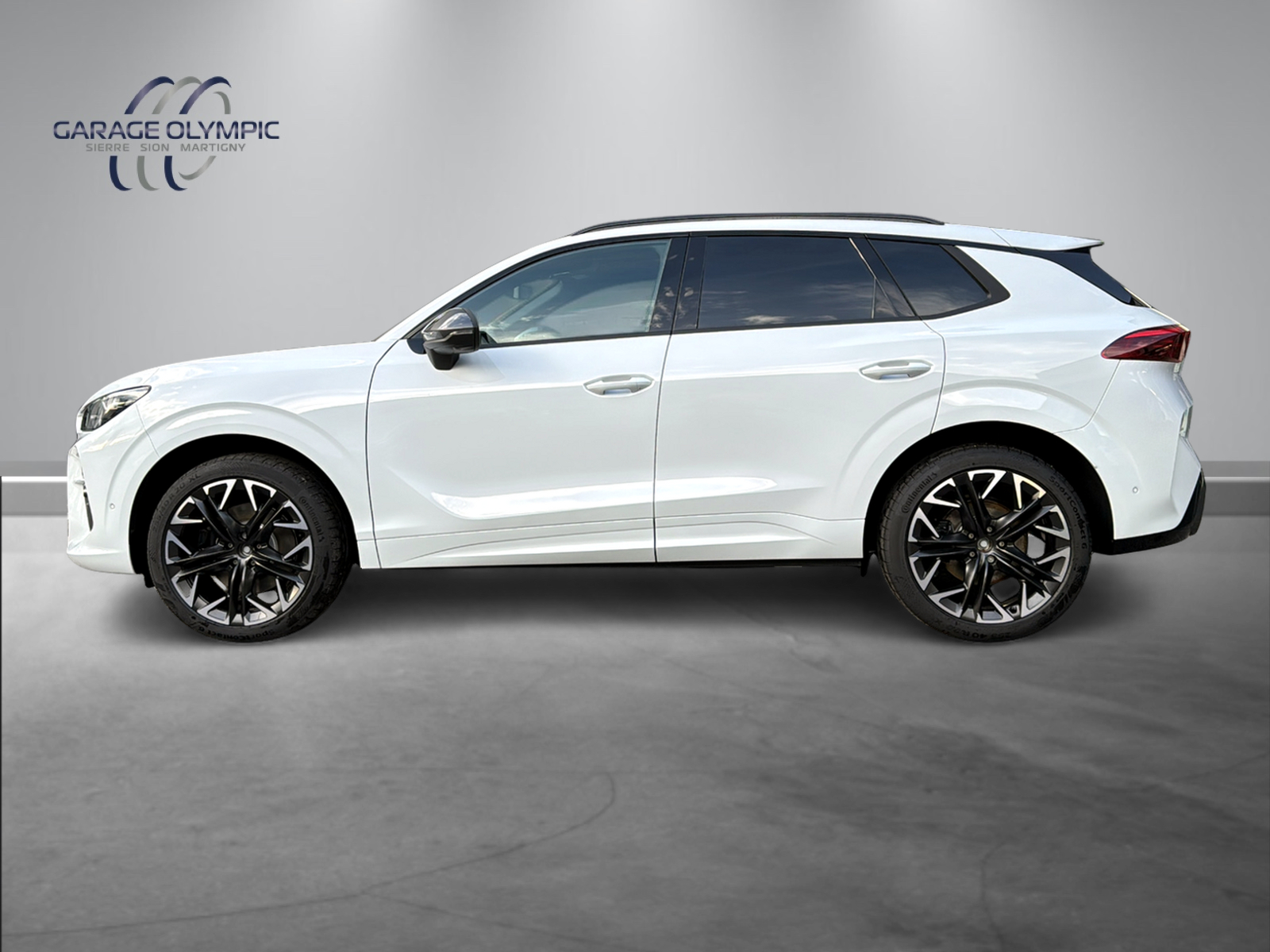 CUPRA Terramar 2.0 TSI DSG 4Drive-image-2