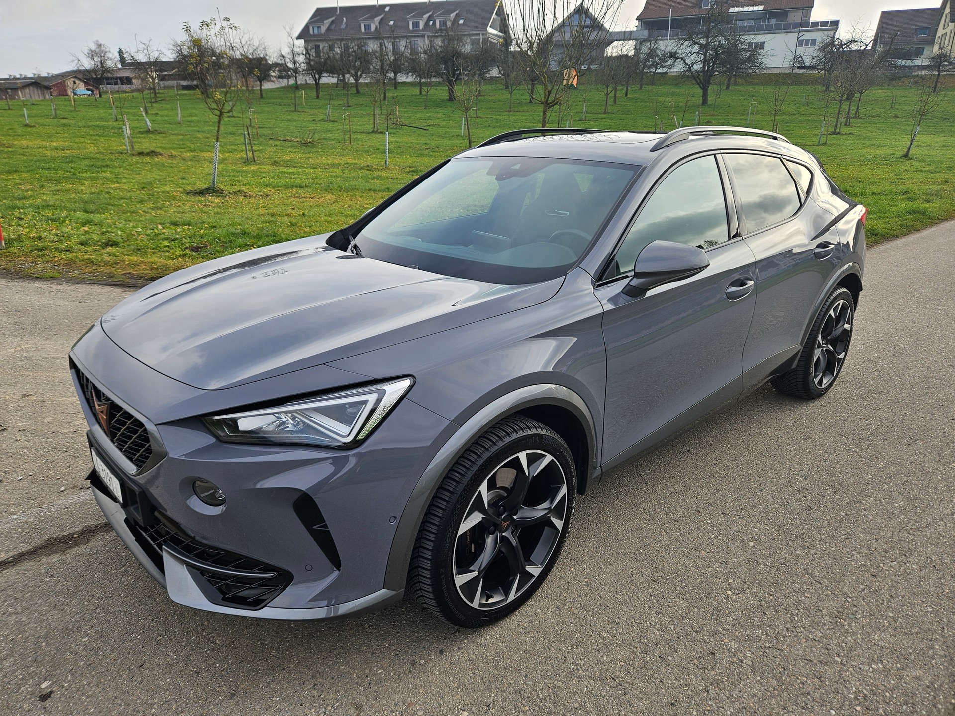 CUPRA Formentor 2.0TSI VZ 4Drive DSG-image-4