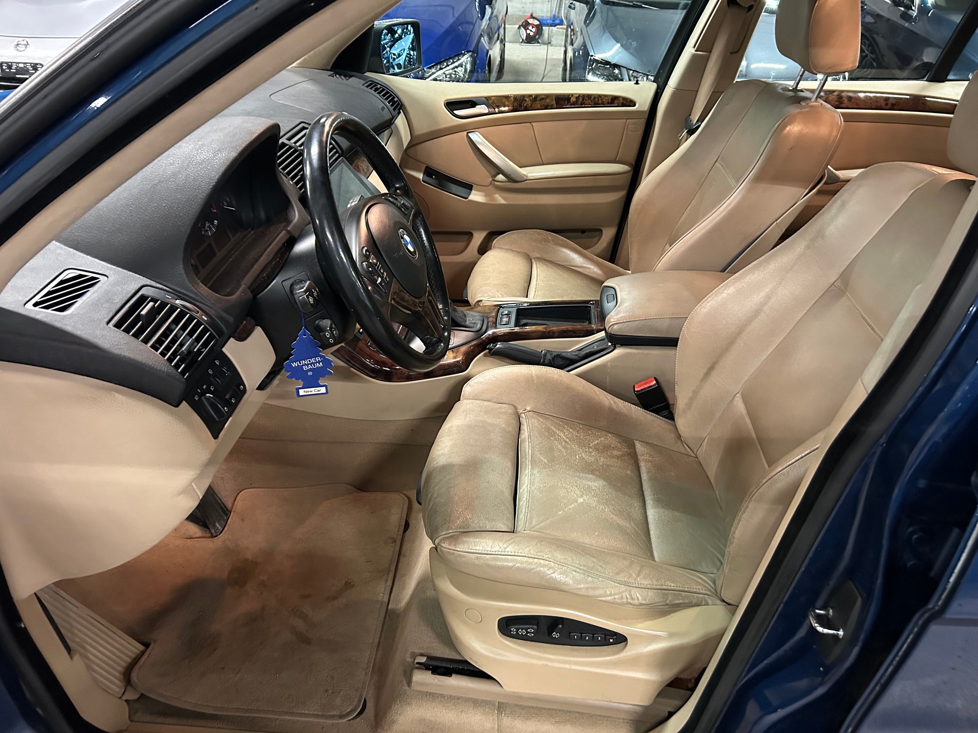 BMW X5 3.0i-image-10