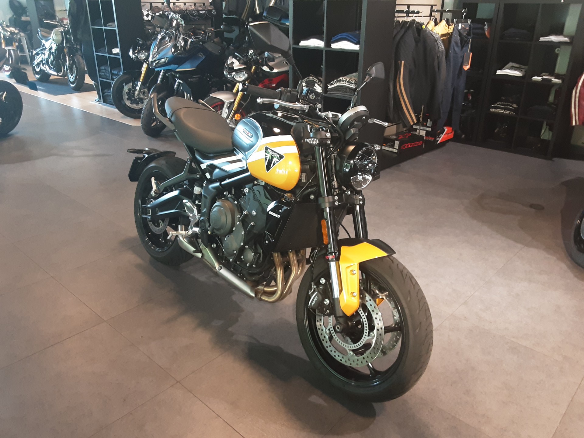 TRIUMPH 660-image-2