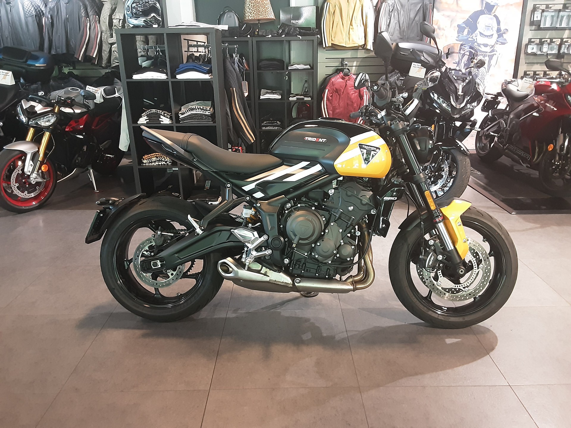 TRIUMPH 660
