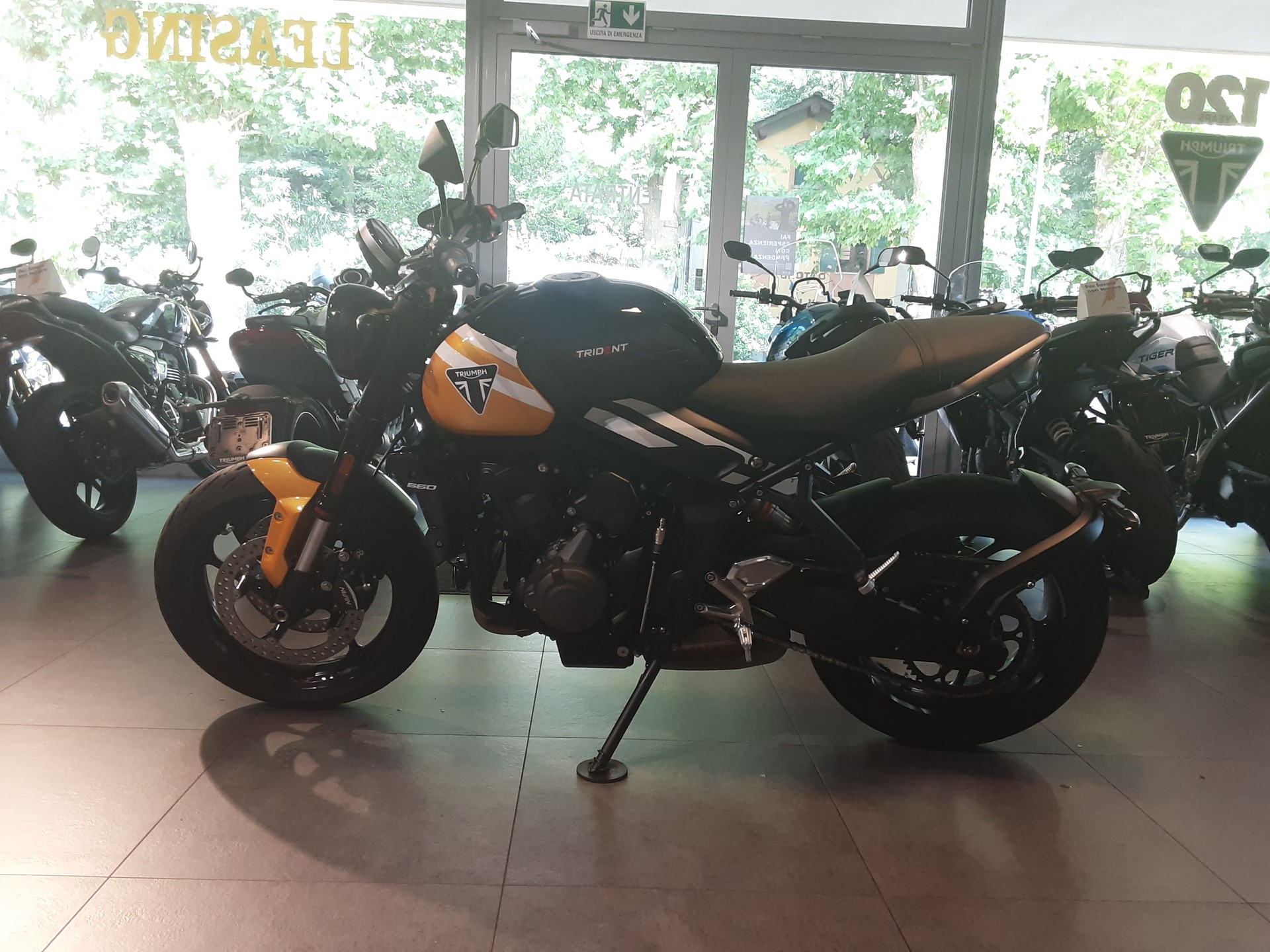 TRIUMPH 660-image-1