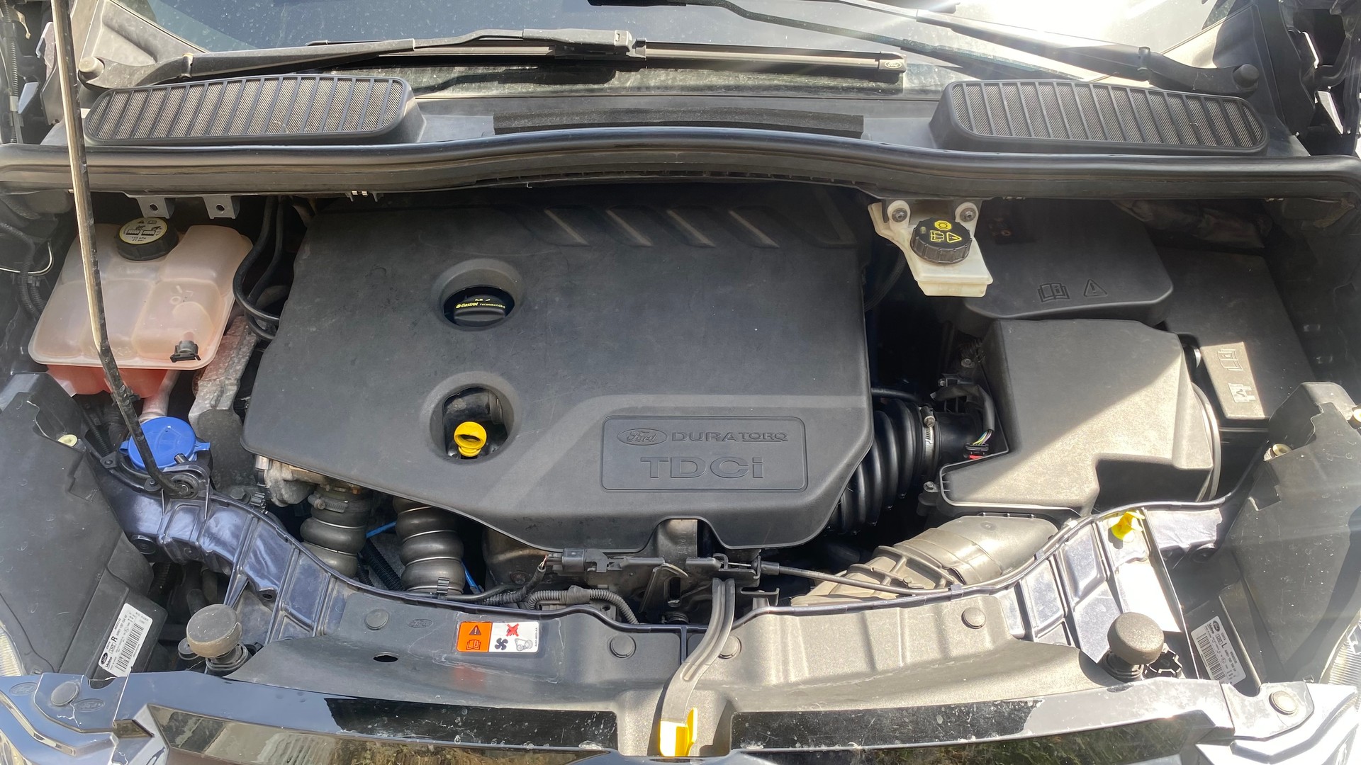FORD 1.6 TDCi 115 Titanium S/S-image-5