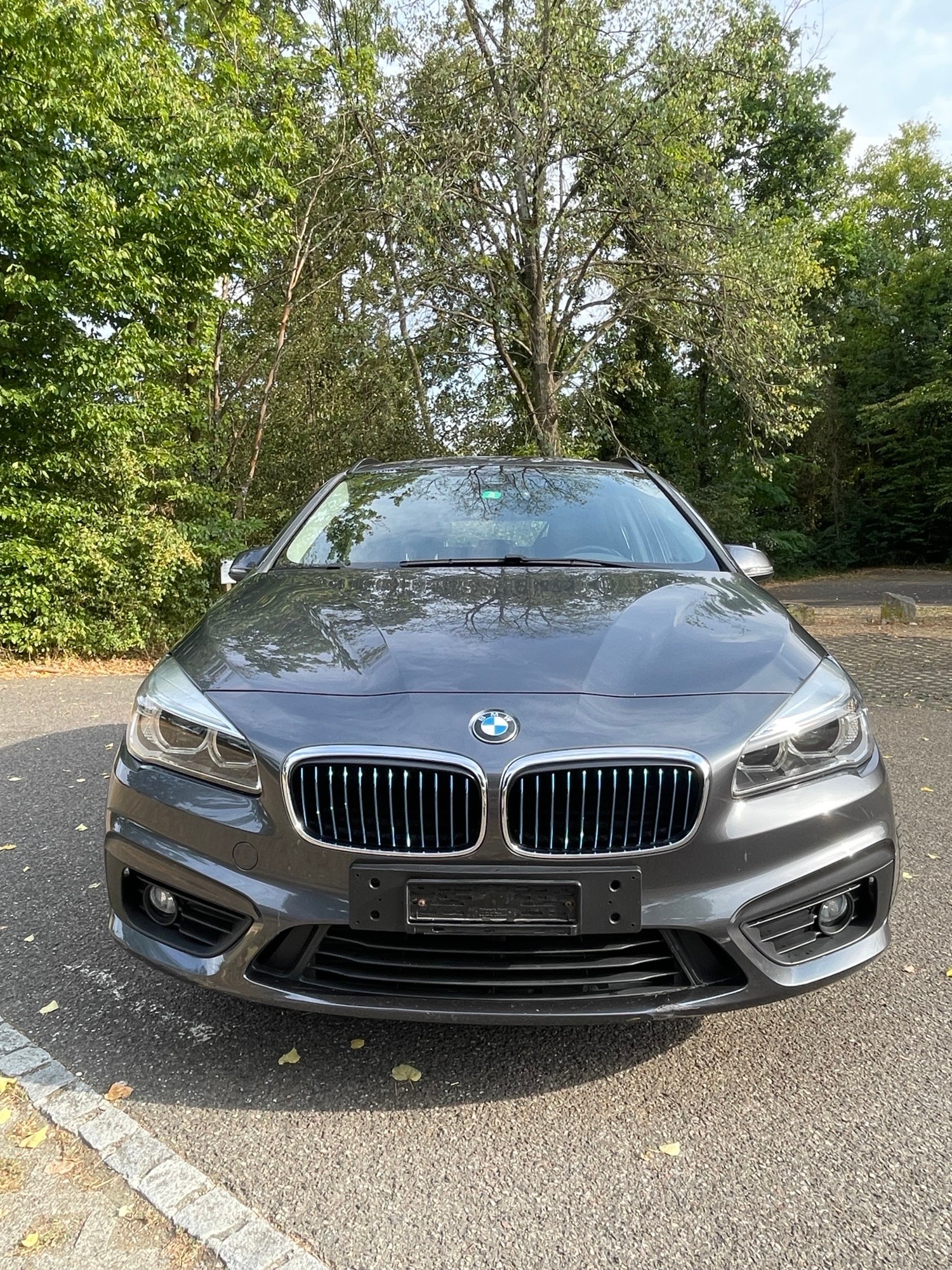 BMW 225xe-image-3