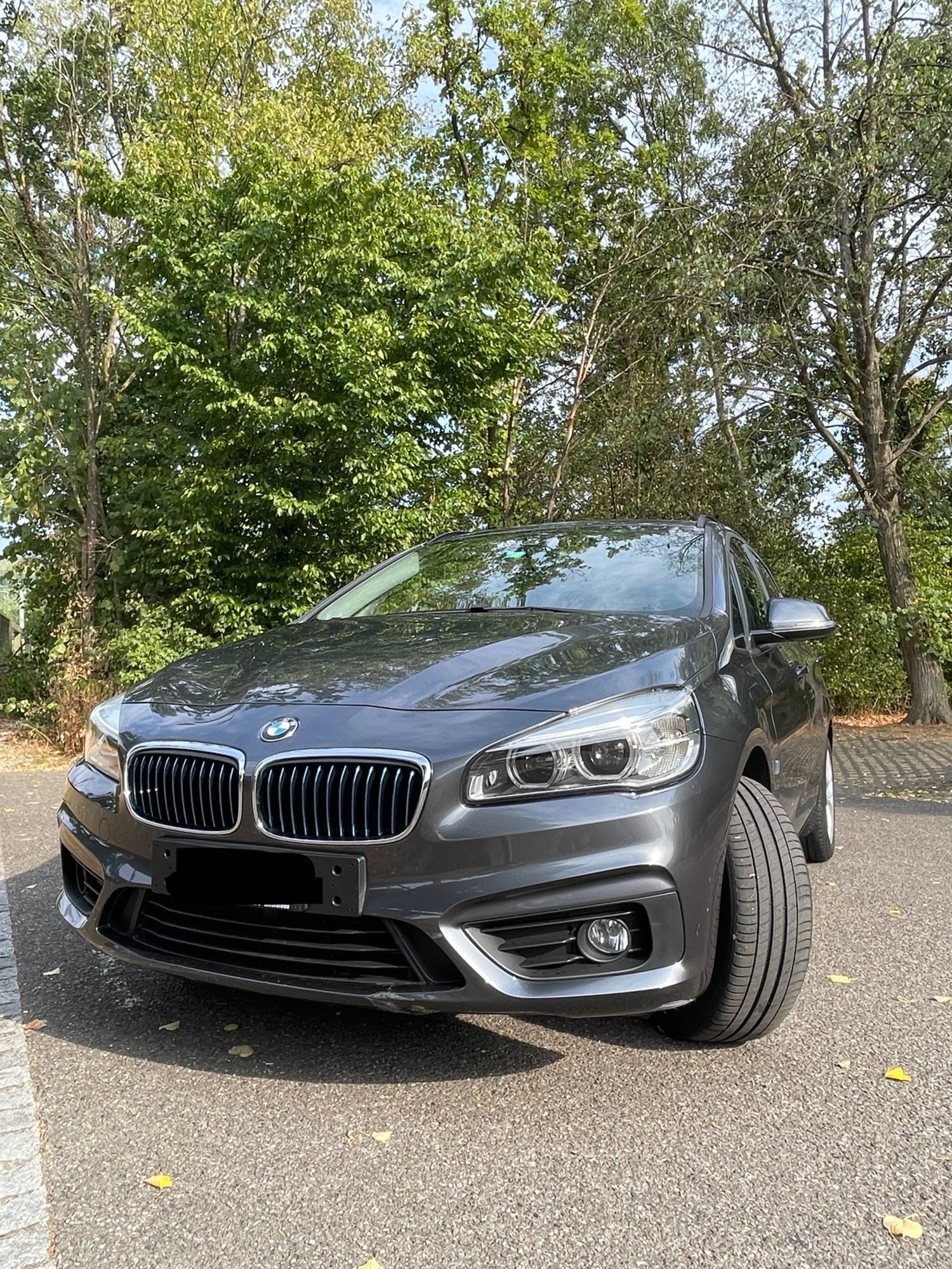 BMW 225xe-image-2
