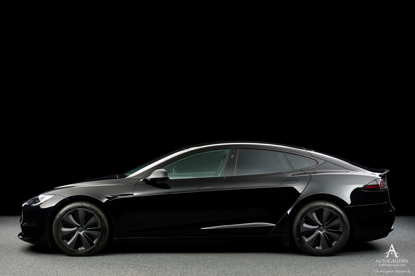TESLA Model S 100 kWh Plaid-image-2