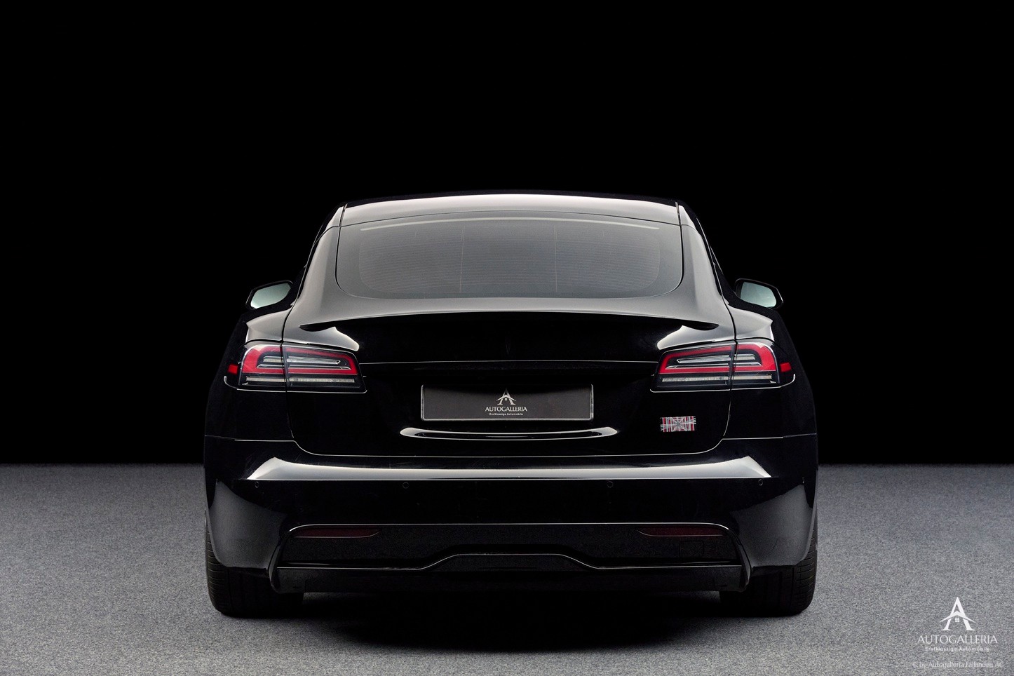 TESLA Model S 100 kWh Plaid-image-4