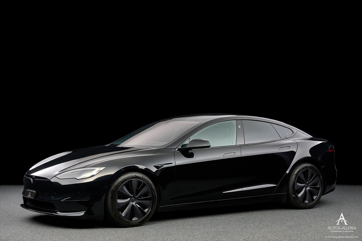 TESLA Model S 100 kWh Plaid-image-1