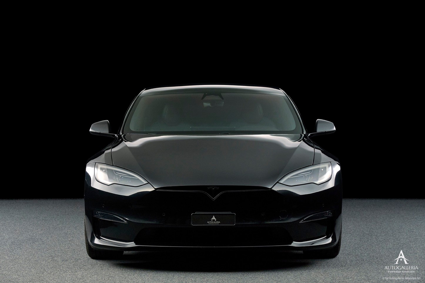 TESLA Model S 100 kWh Plaid-image-0