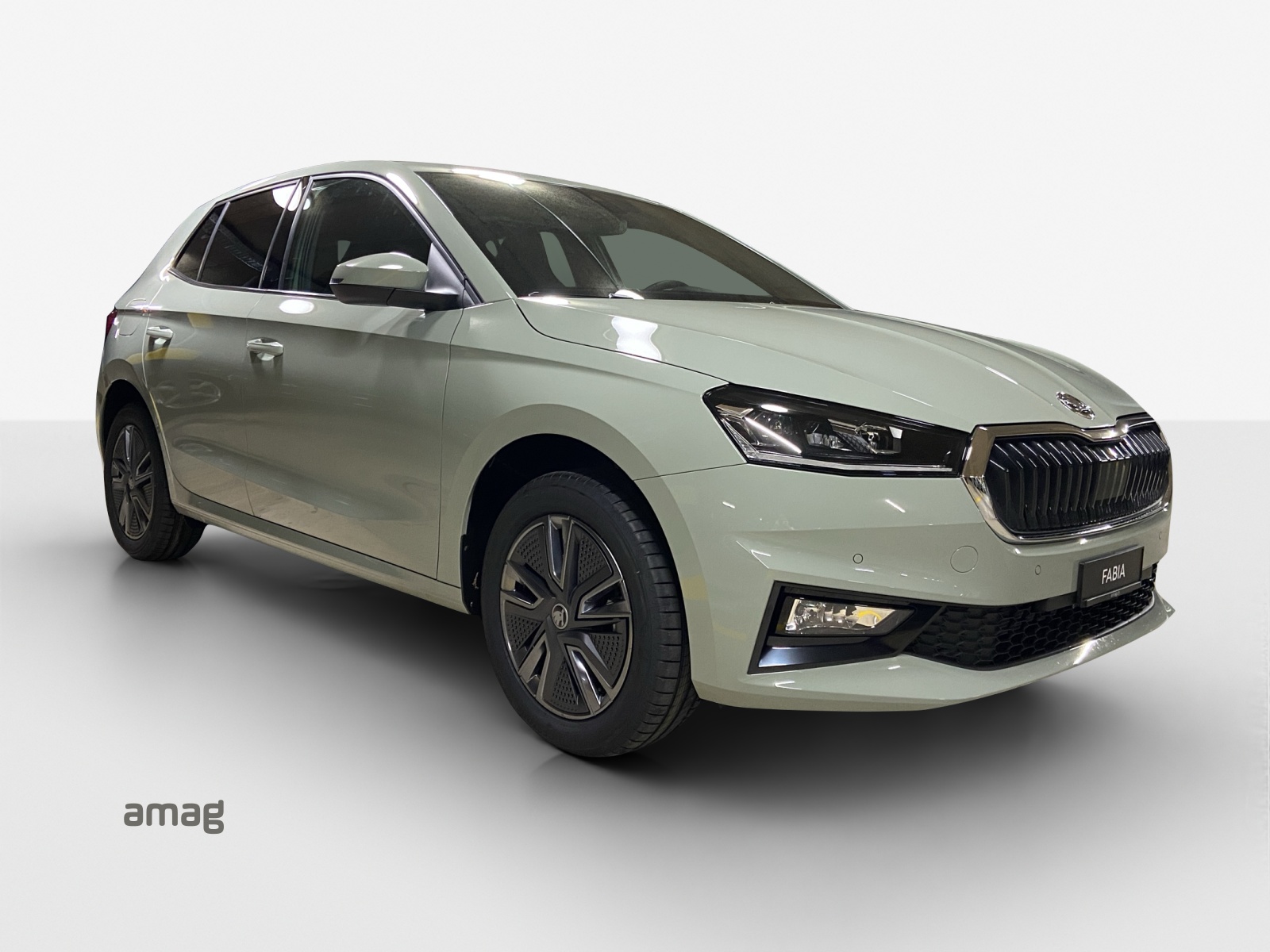 SKODA Fabia 1.0 TSI Dynamic DSG-image-5