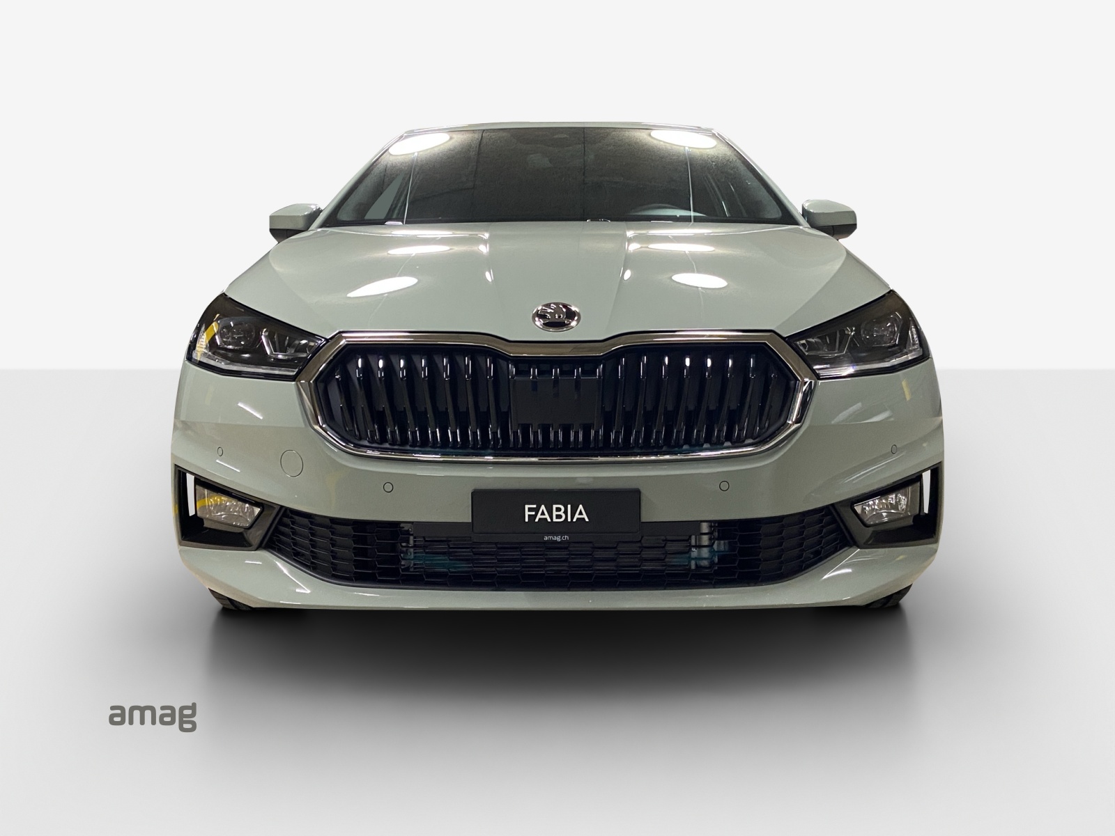 SKODA Fabia 1.0 TSI Dynamic DSG-image-6
