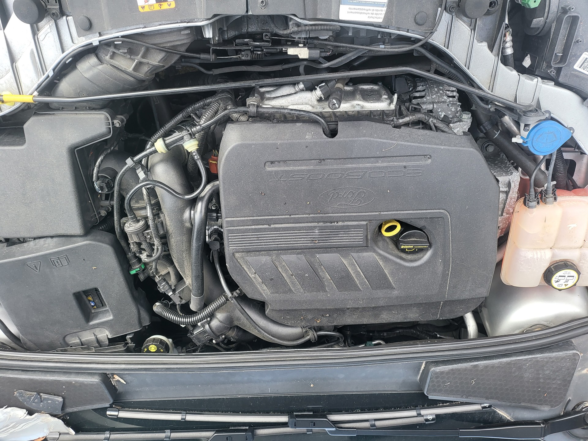 FORD Focus 1.5 SCTi ST Line-image-9