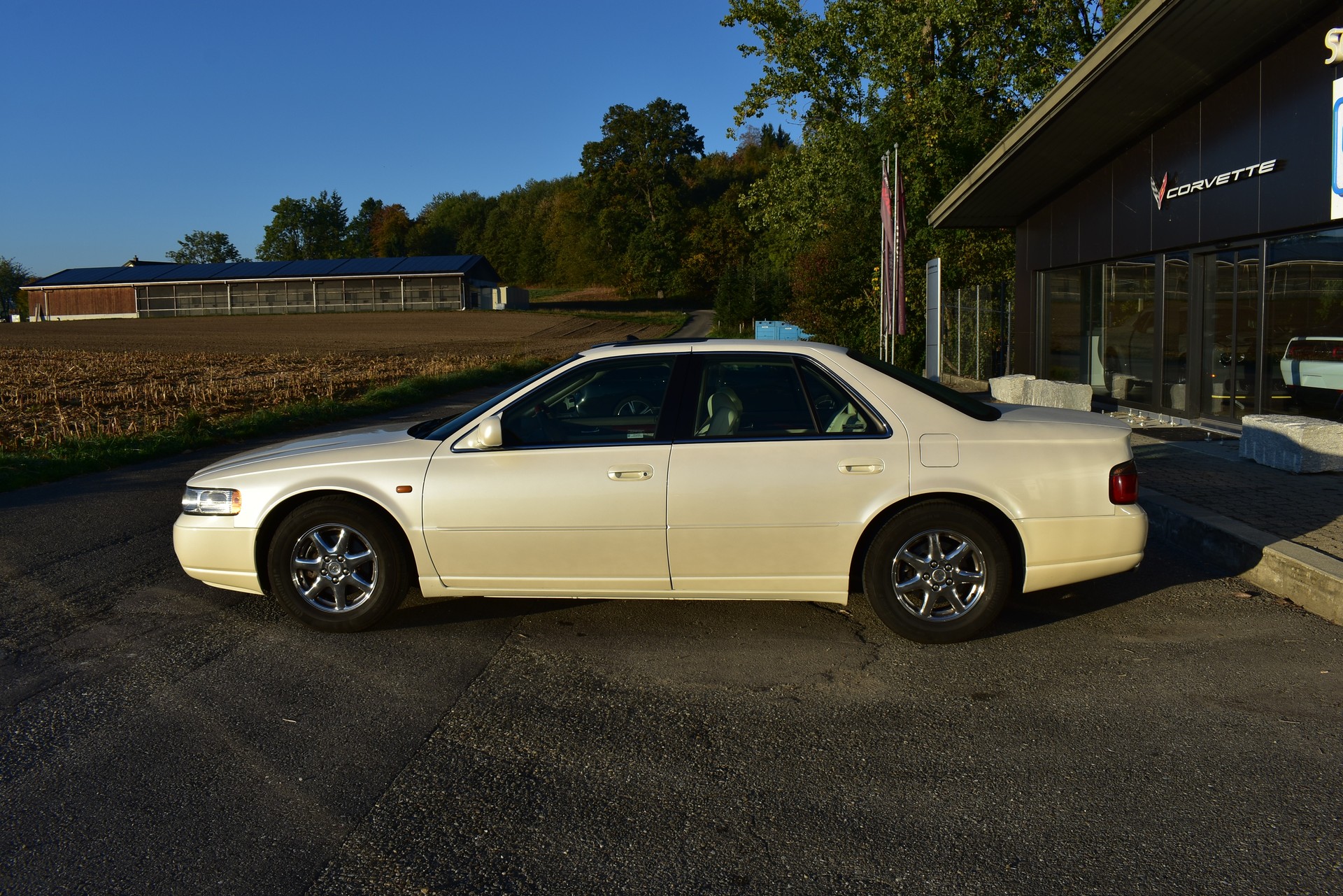CADILLAC Seville STS 4.6 32V A-image-6