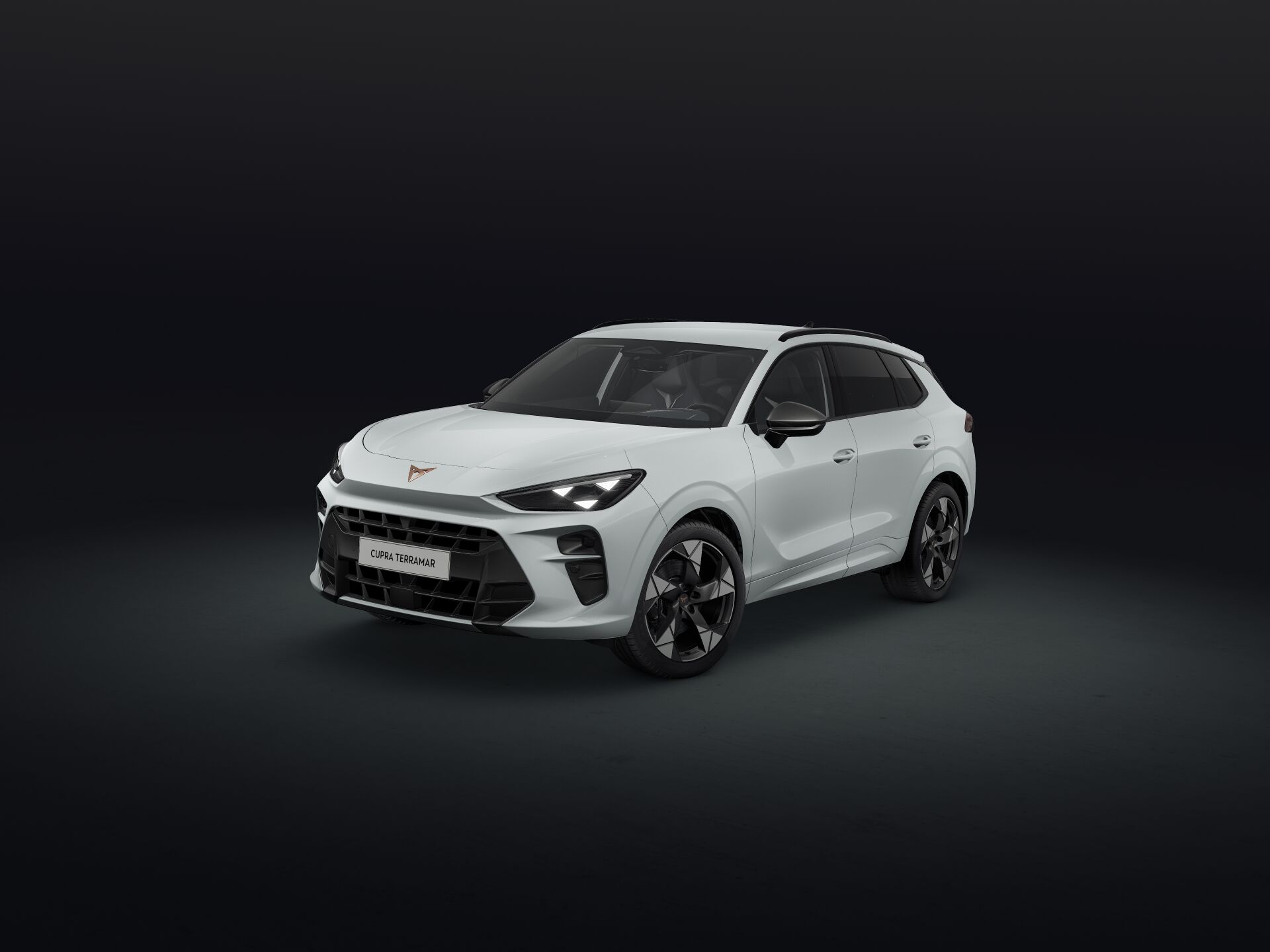 CUPRA Terramar 2.0 TSI DSG 4Drive VZ-image-0