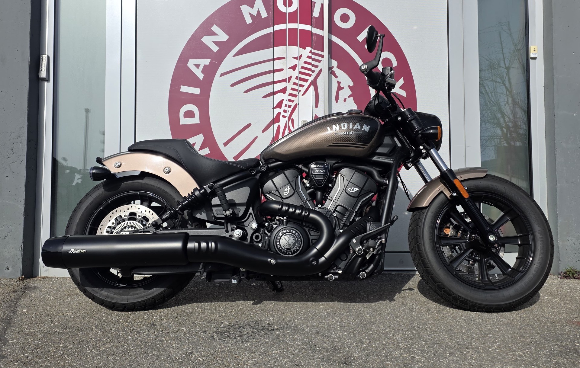 INDIAN Scout Bobber