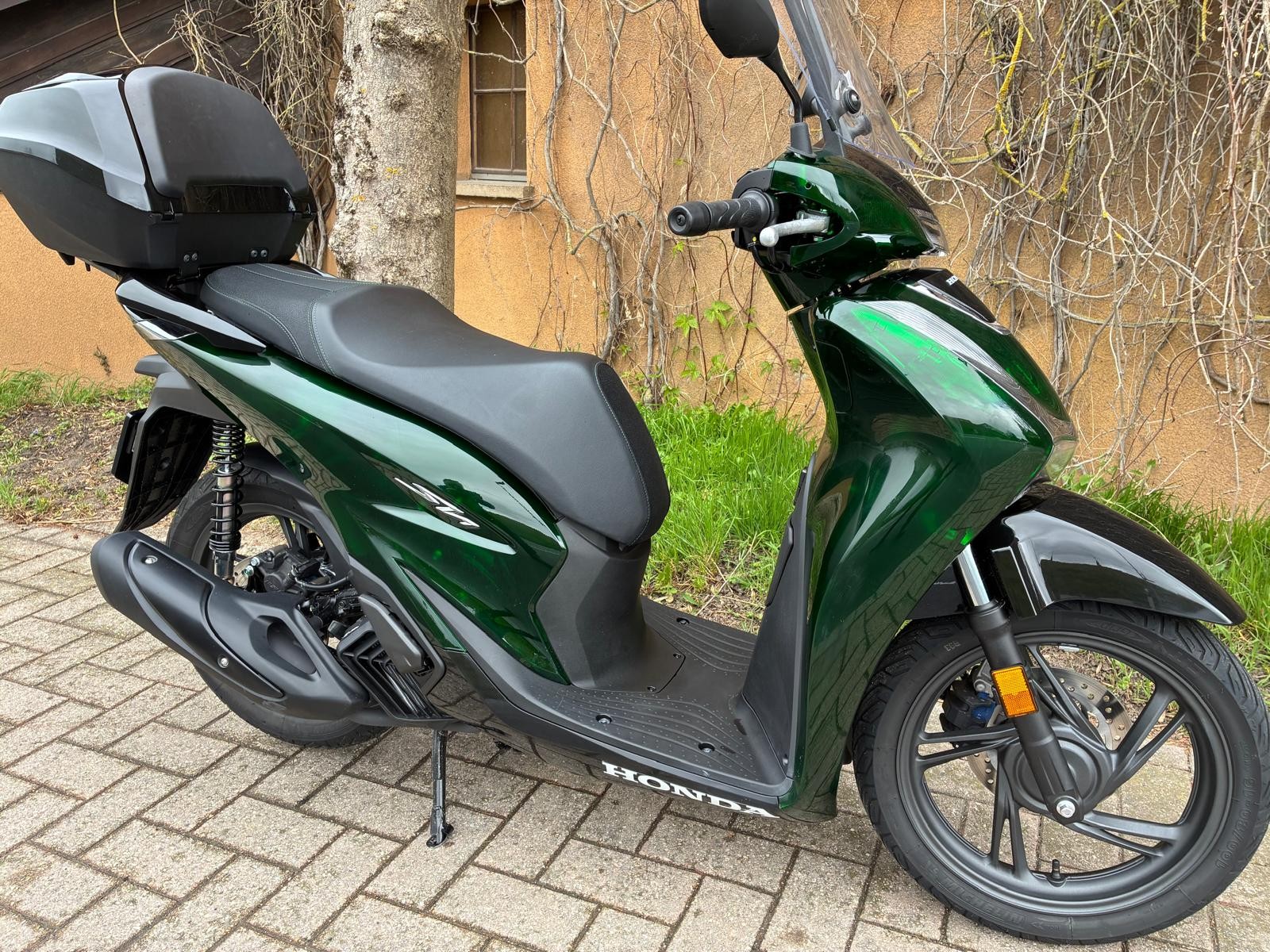 HONDA SH 125 Sporty Vetro-image-1