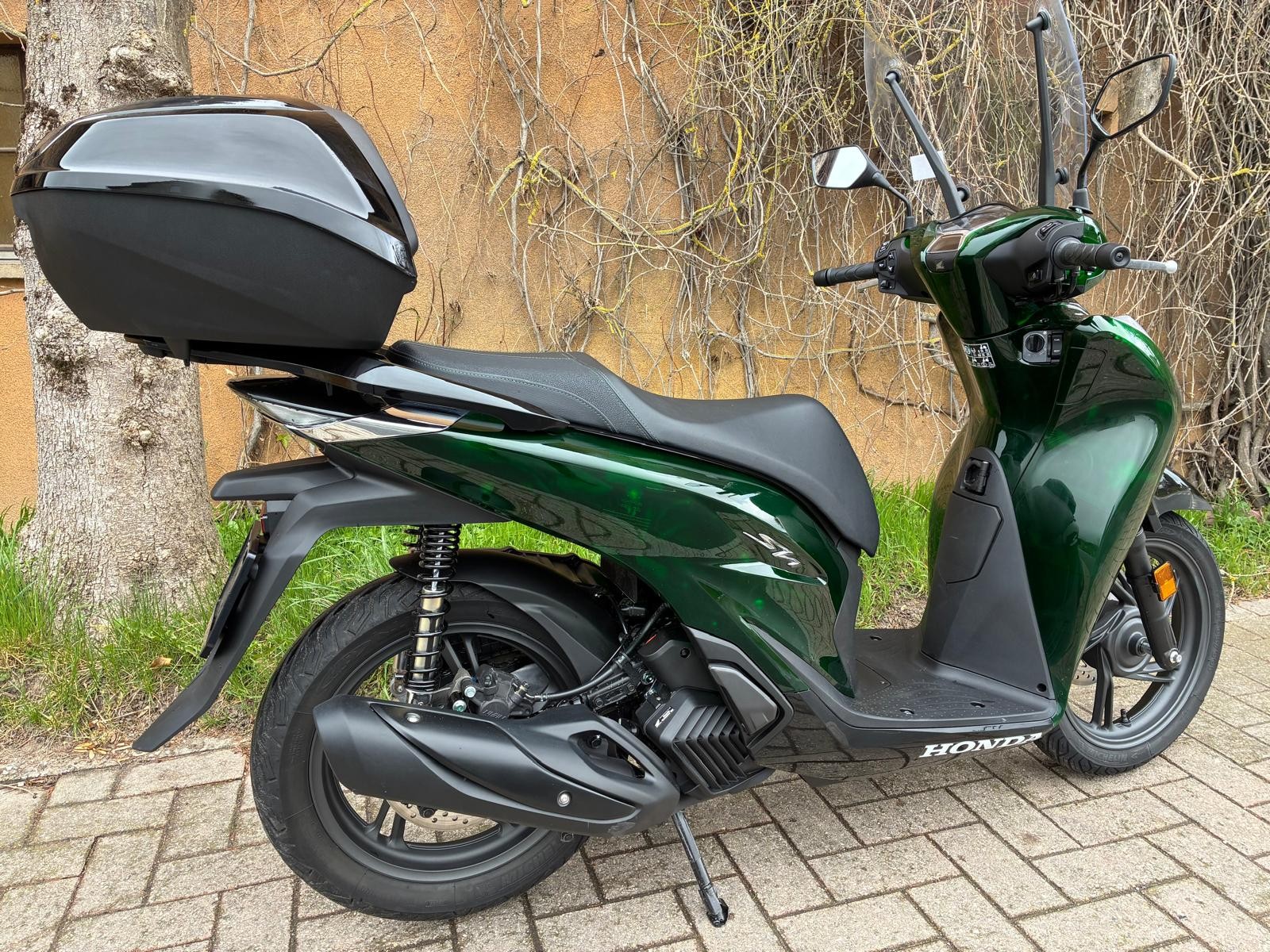 HONDA SH 125 Sporty Vetro-image-9