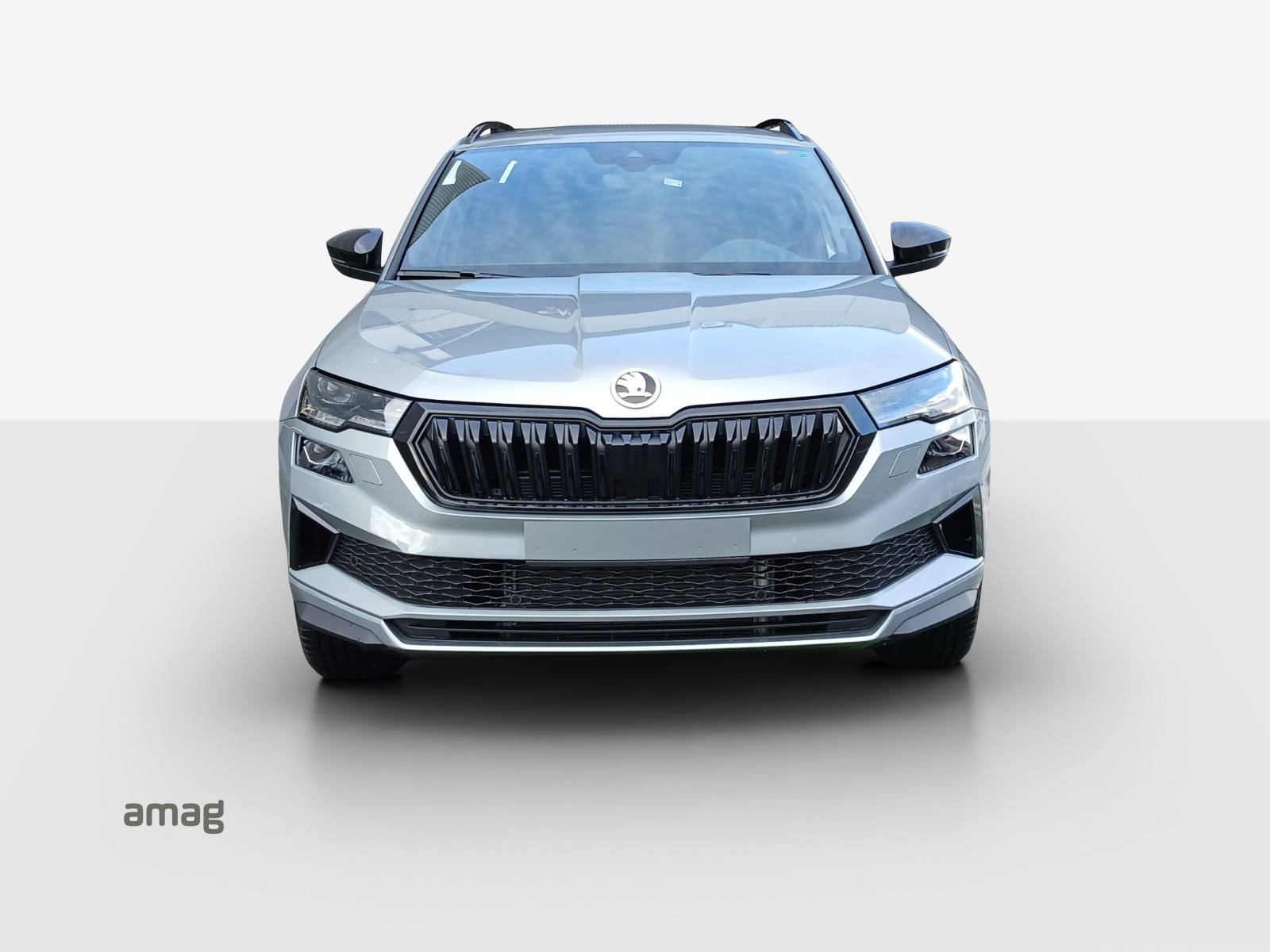 SKODA Karoq 2.0 TSI Dynamic Limited Edition 4x4 DSG-image-6