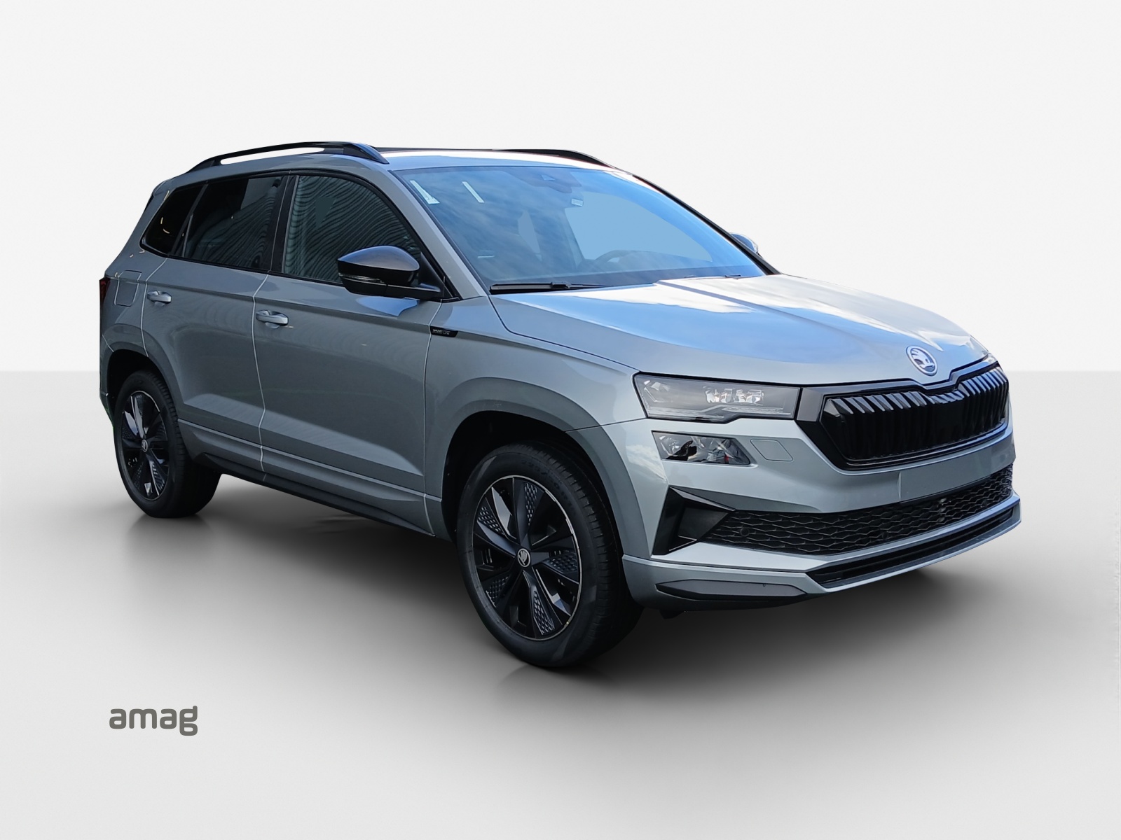SKODA Karoq 2.0 TSI Dynamic Limited Edition 4x4 DSG-image-5