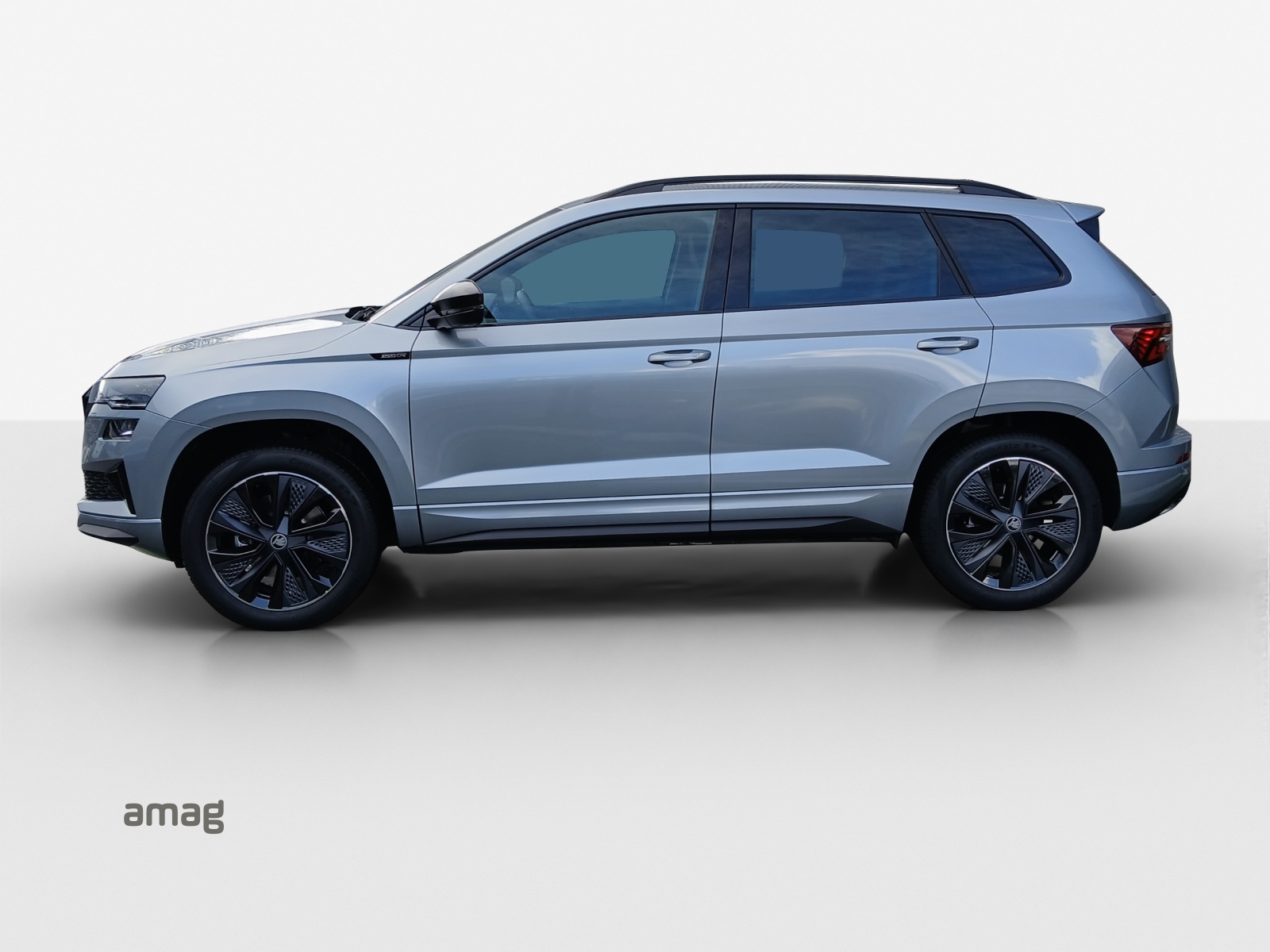 SKODA Karoq 2.0 TSI Dynamic Limited Edition 4x4 DSG-image-1