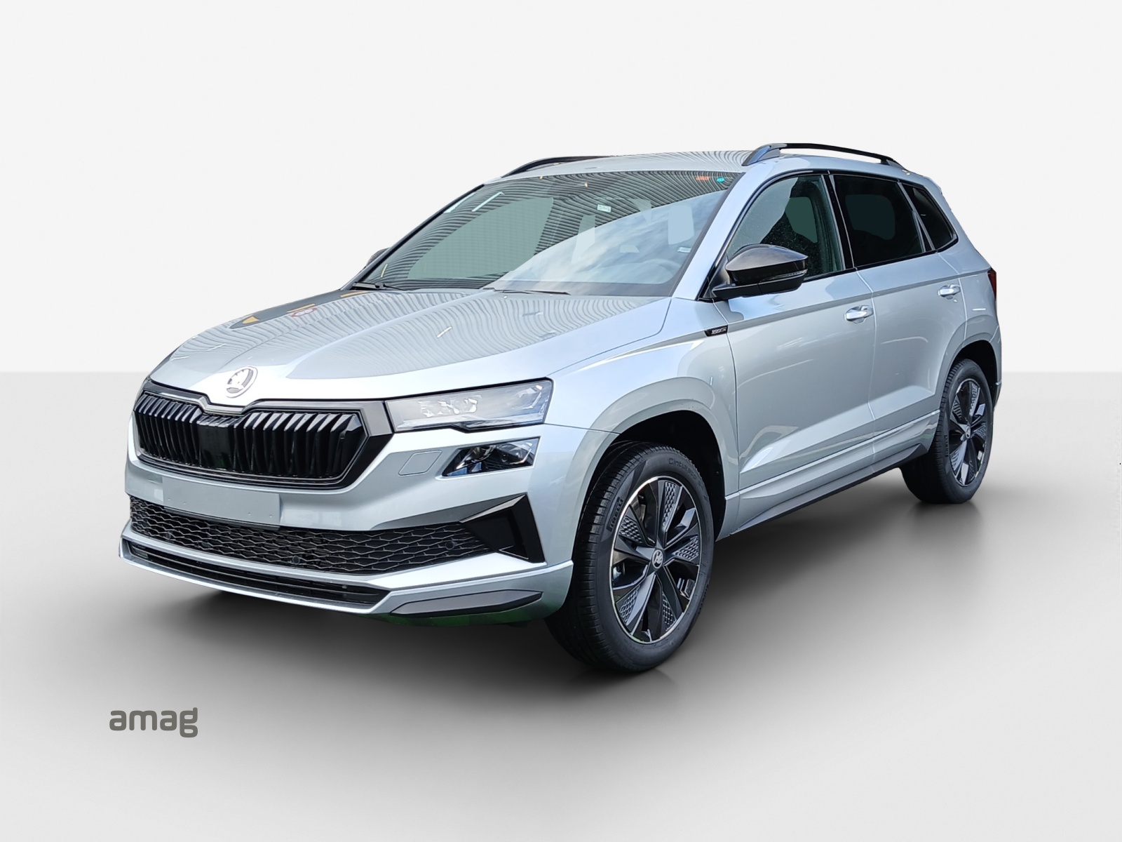 SKODA Karoq 2.0 TSI Dynamic Limited Edition 4x4 DSG-image-0