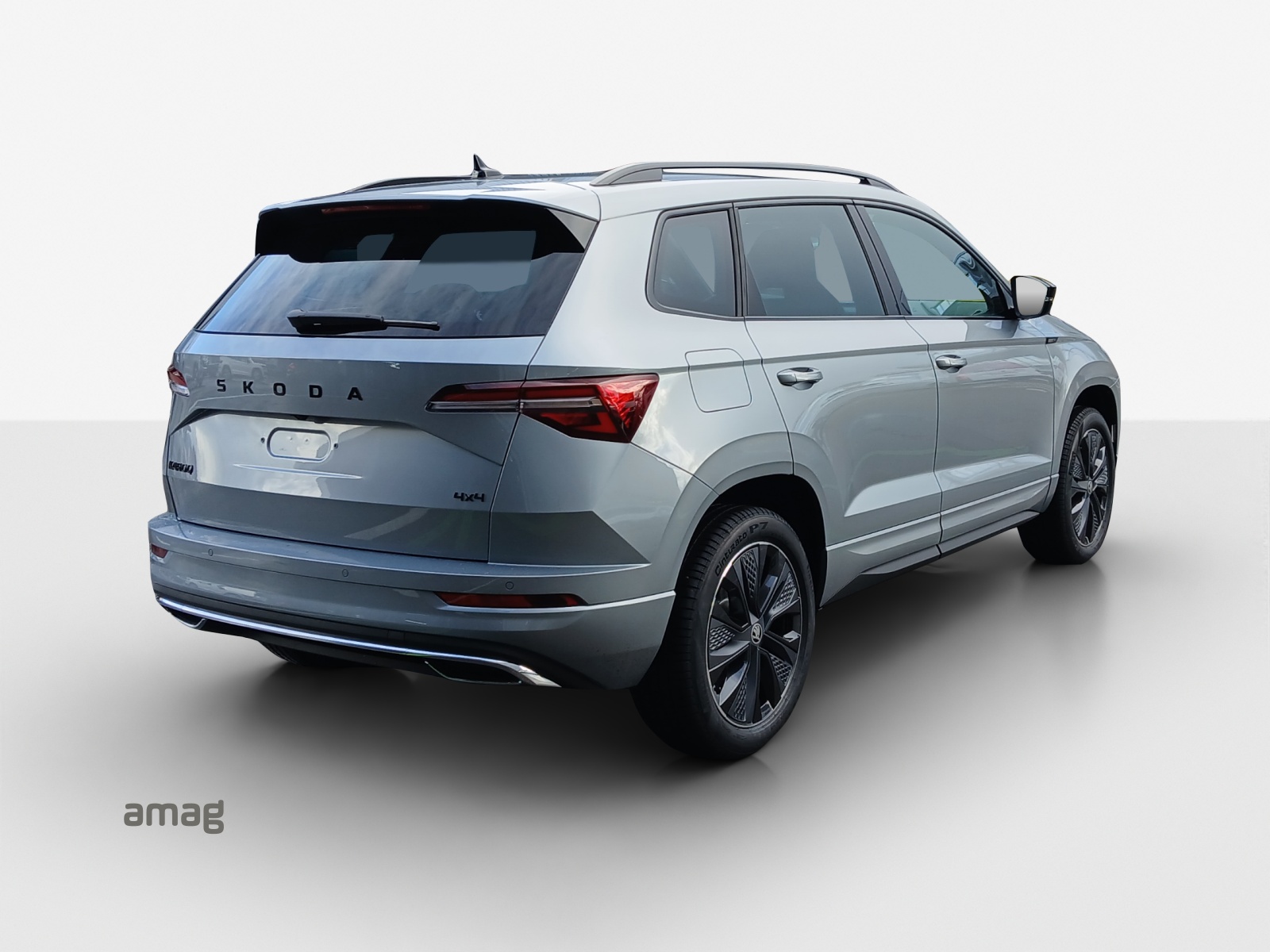SKODA Karoq 2.0 TSI Dynamic Limited Edition 4x4 DSG-image-4