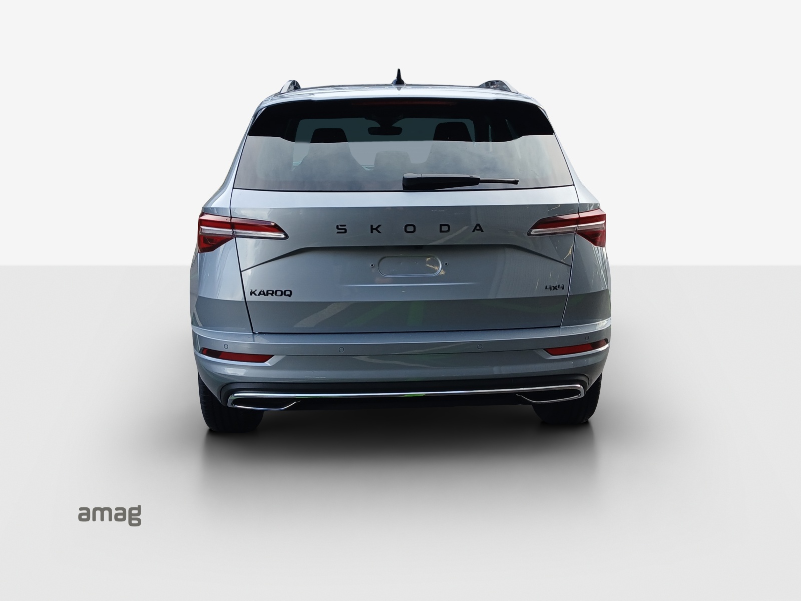 SKODA Karoq 2.0 TSI Dynamic Limited Edition 4x4 DSG-image-3