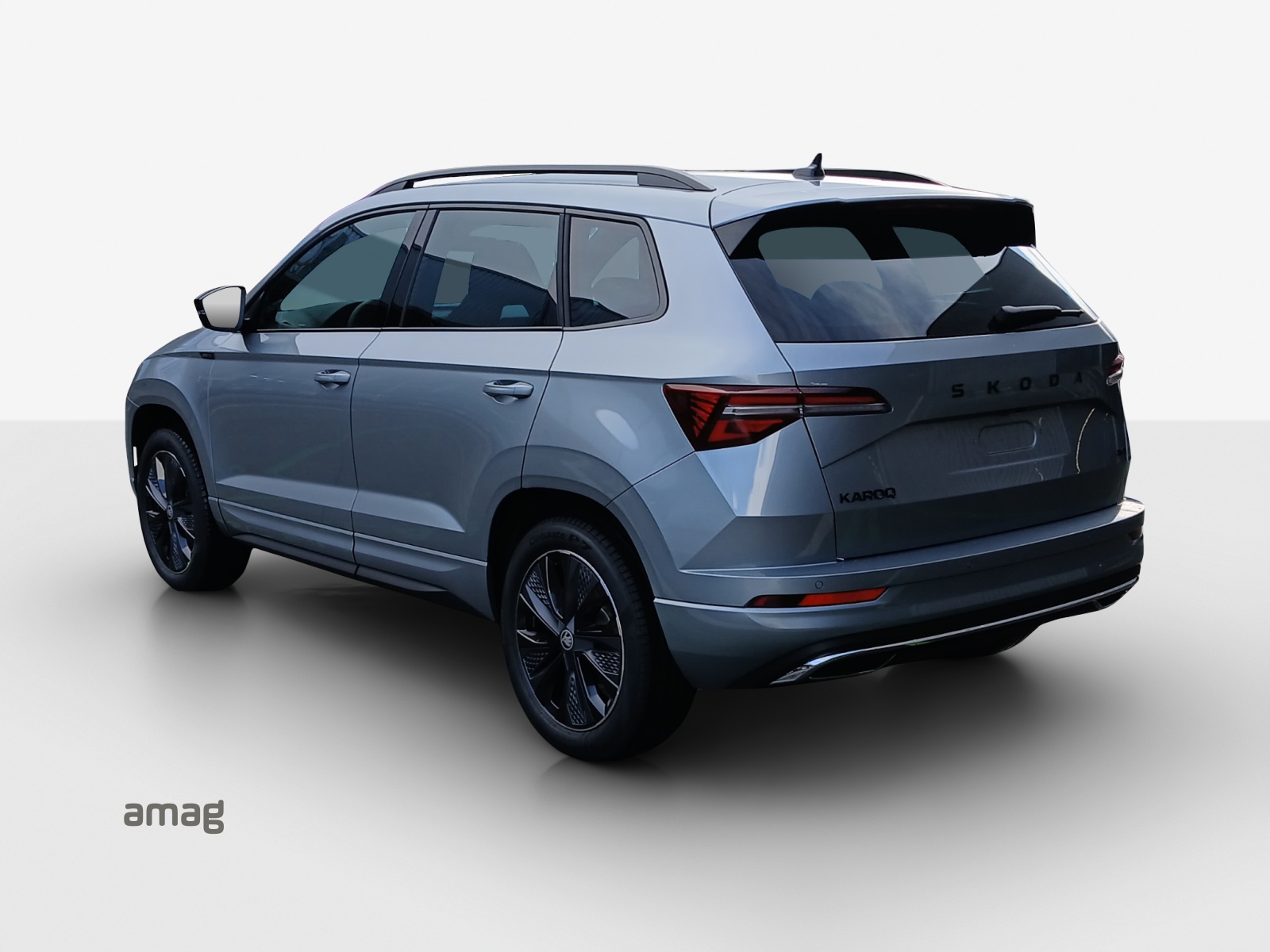 SKODA Karoq 2.0 TSI Dynamic Limited Edition 4x4 DSG-image-2